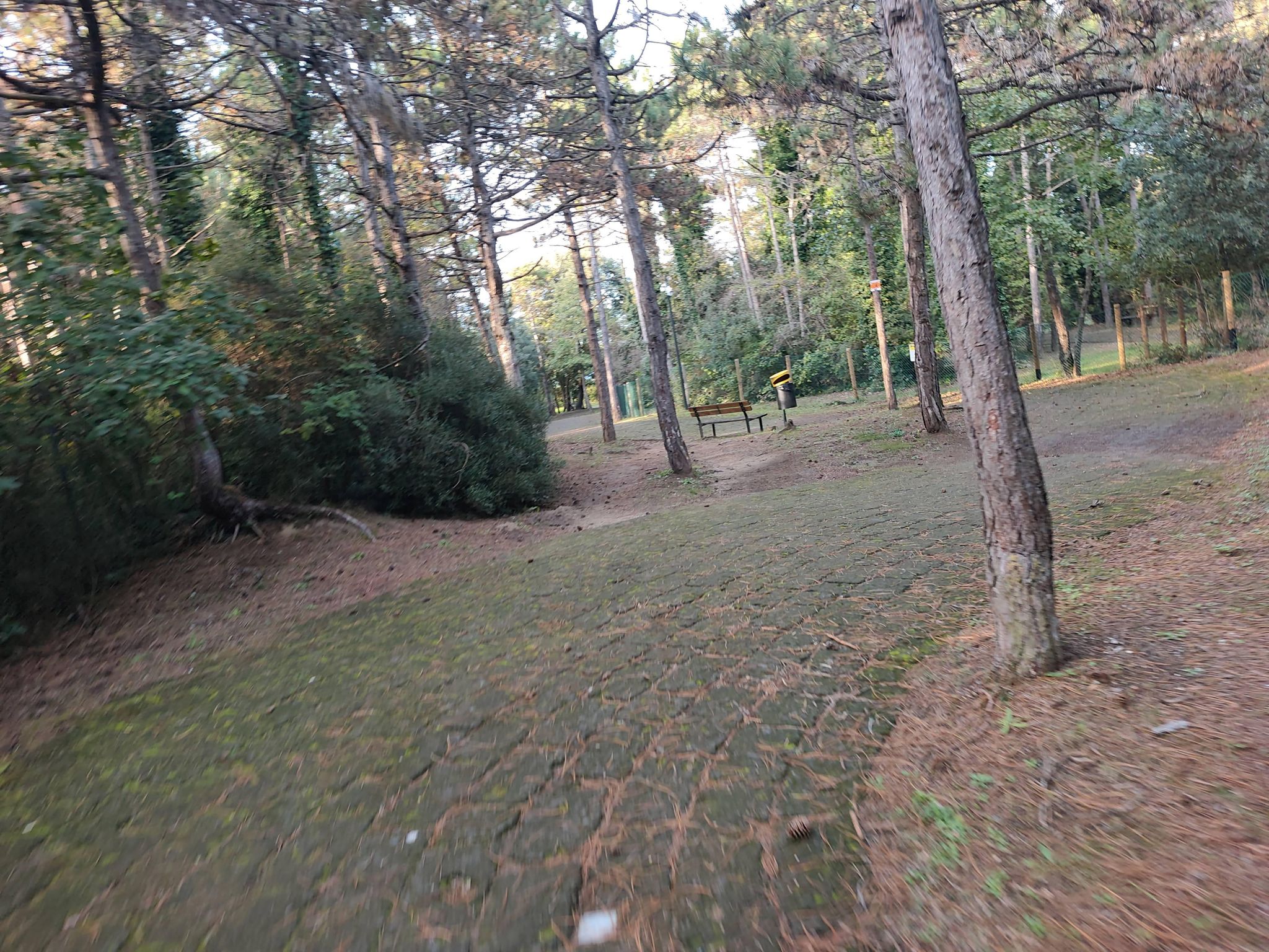 Street view of Bibione