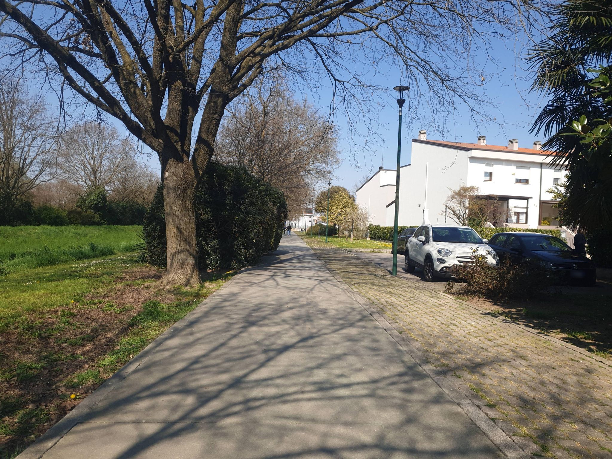 Street view of Zelarino