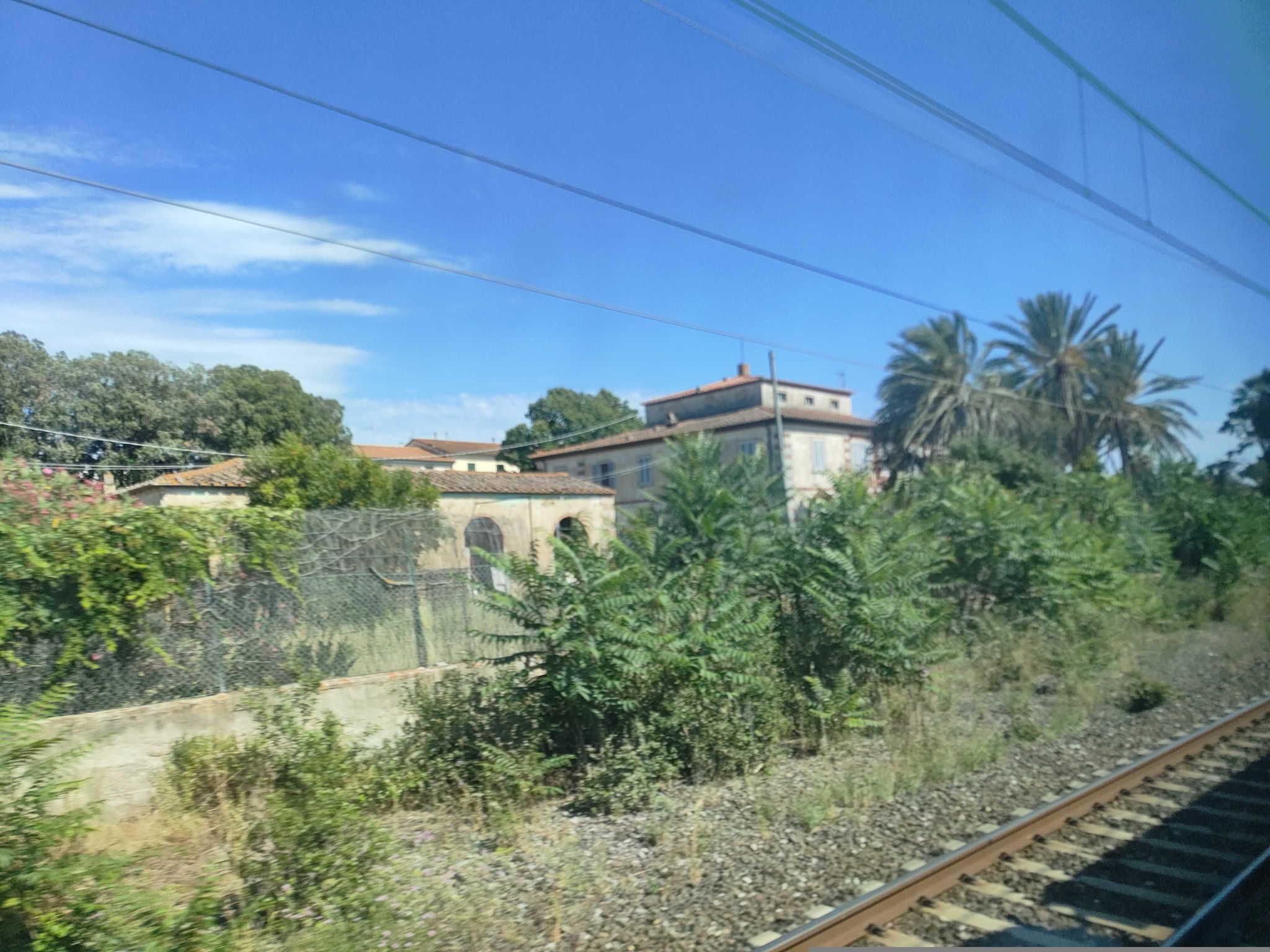 Street view of Donoratico