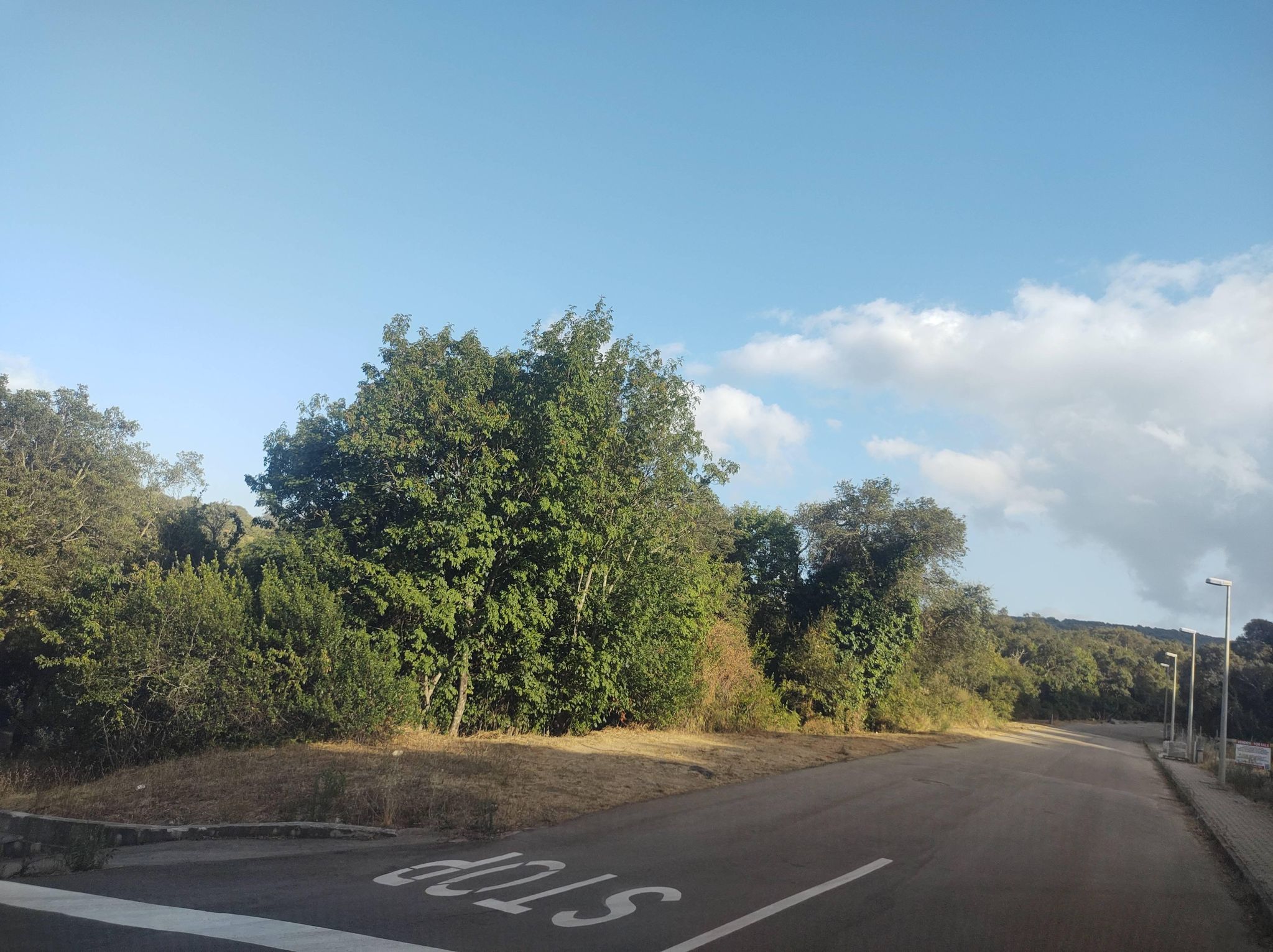 Street view of Luogosanto