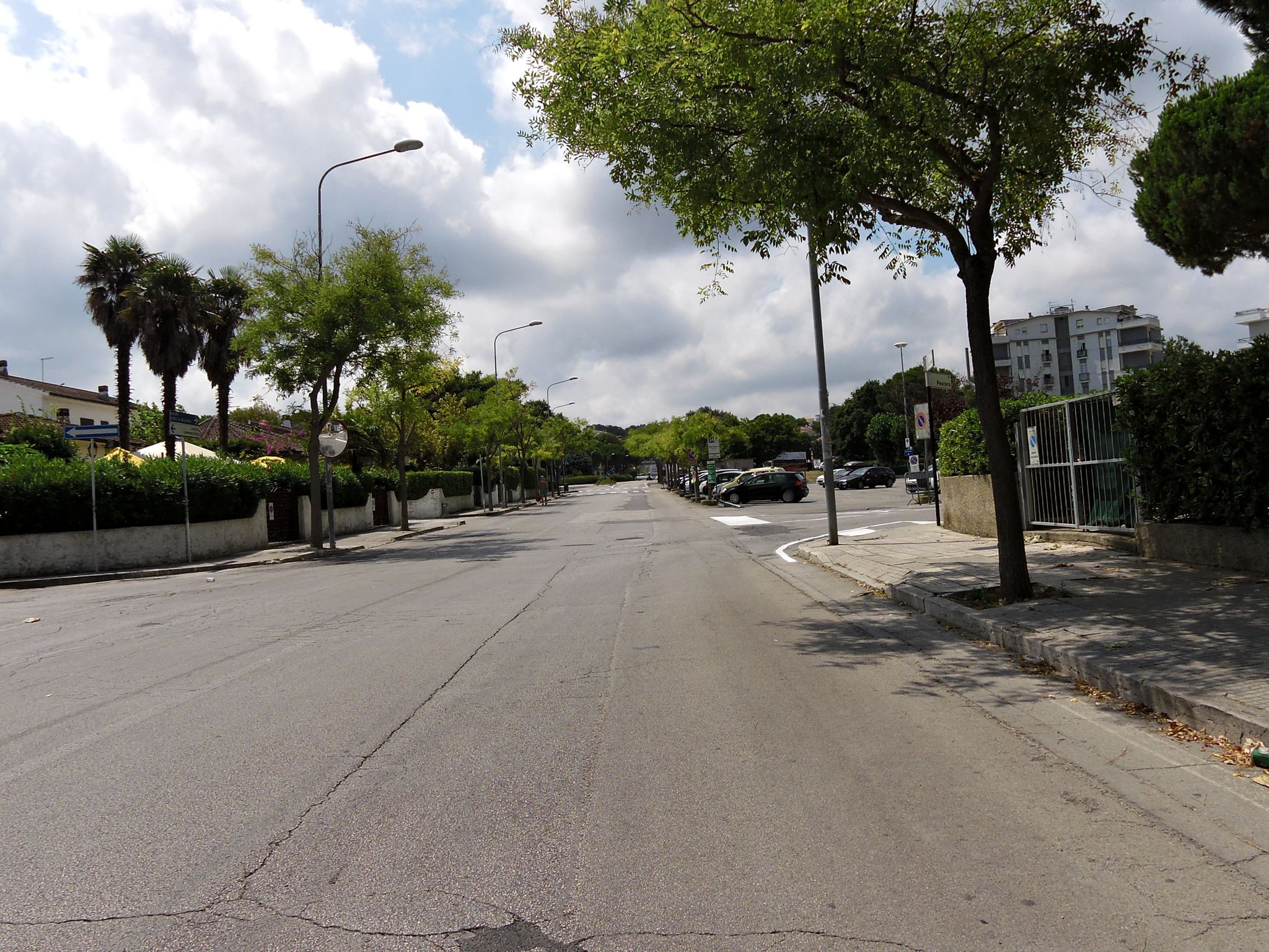 Street view of Marcelli