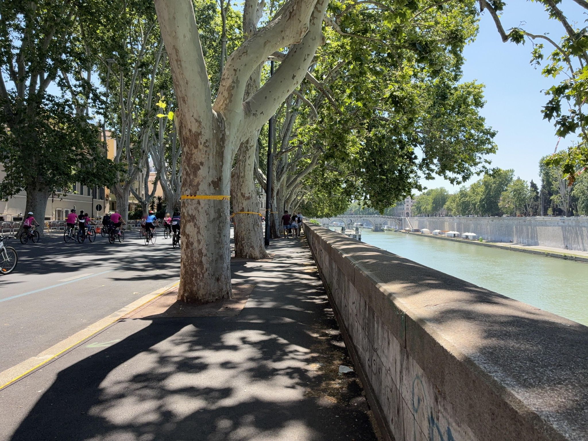 Street view of Regola
