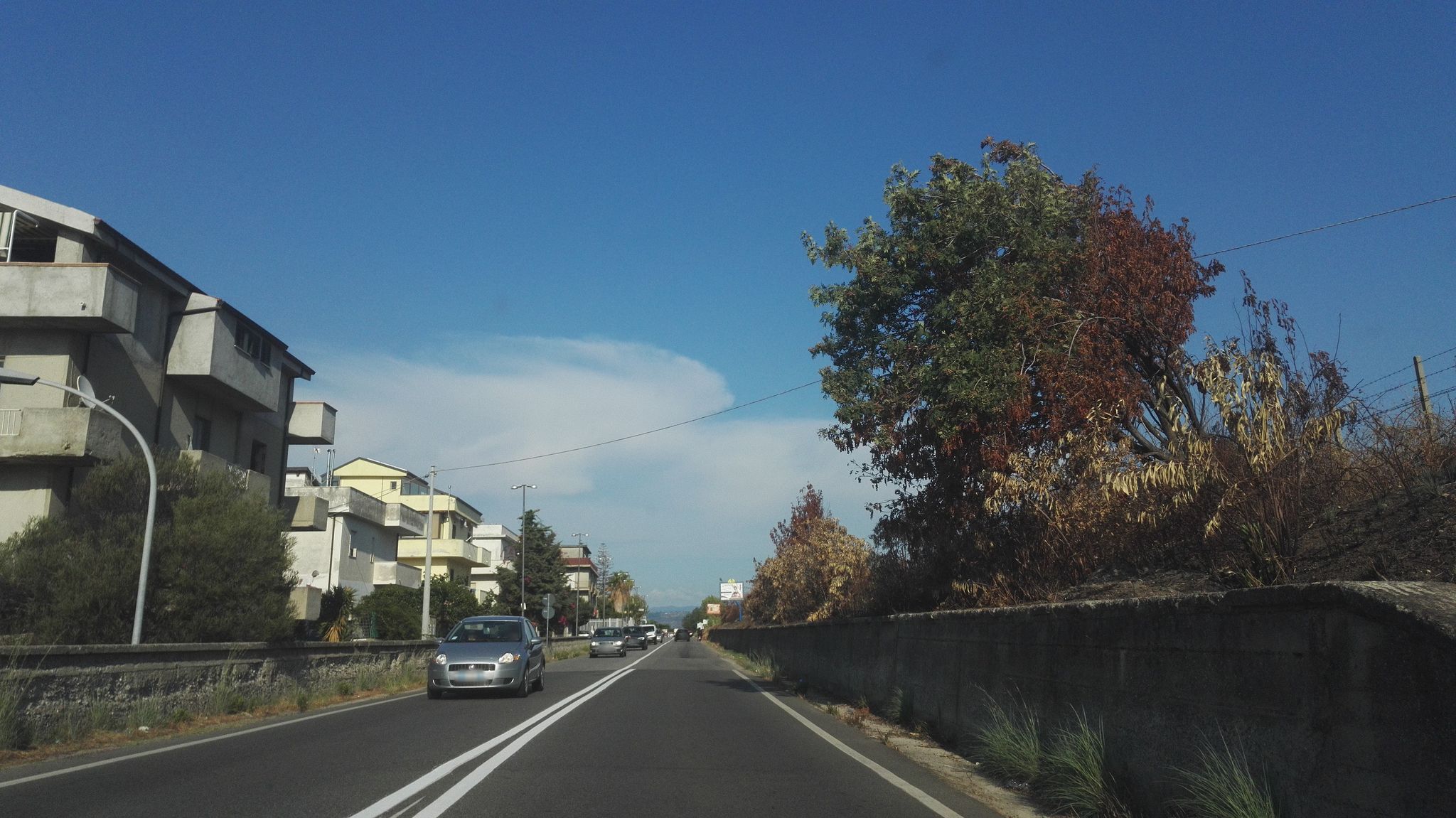 Street view of Briatico