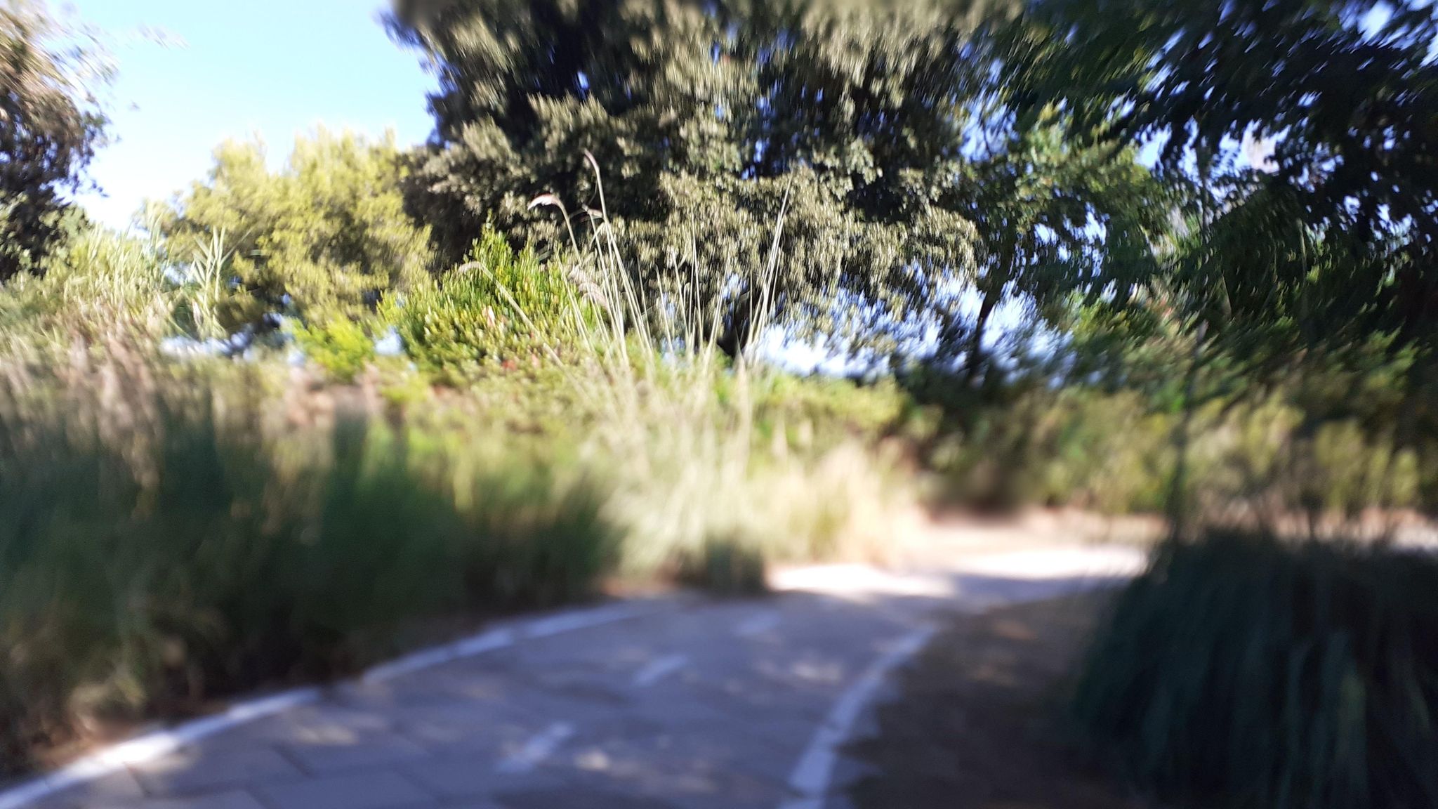 Street view of Marina di Vasto