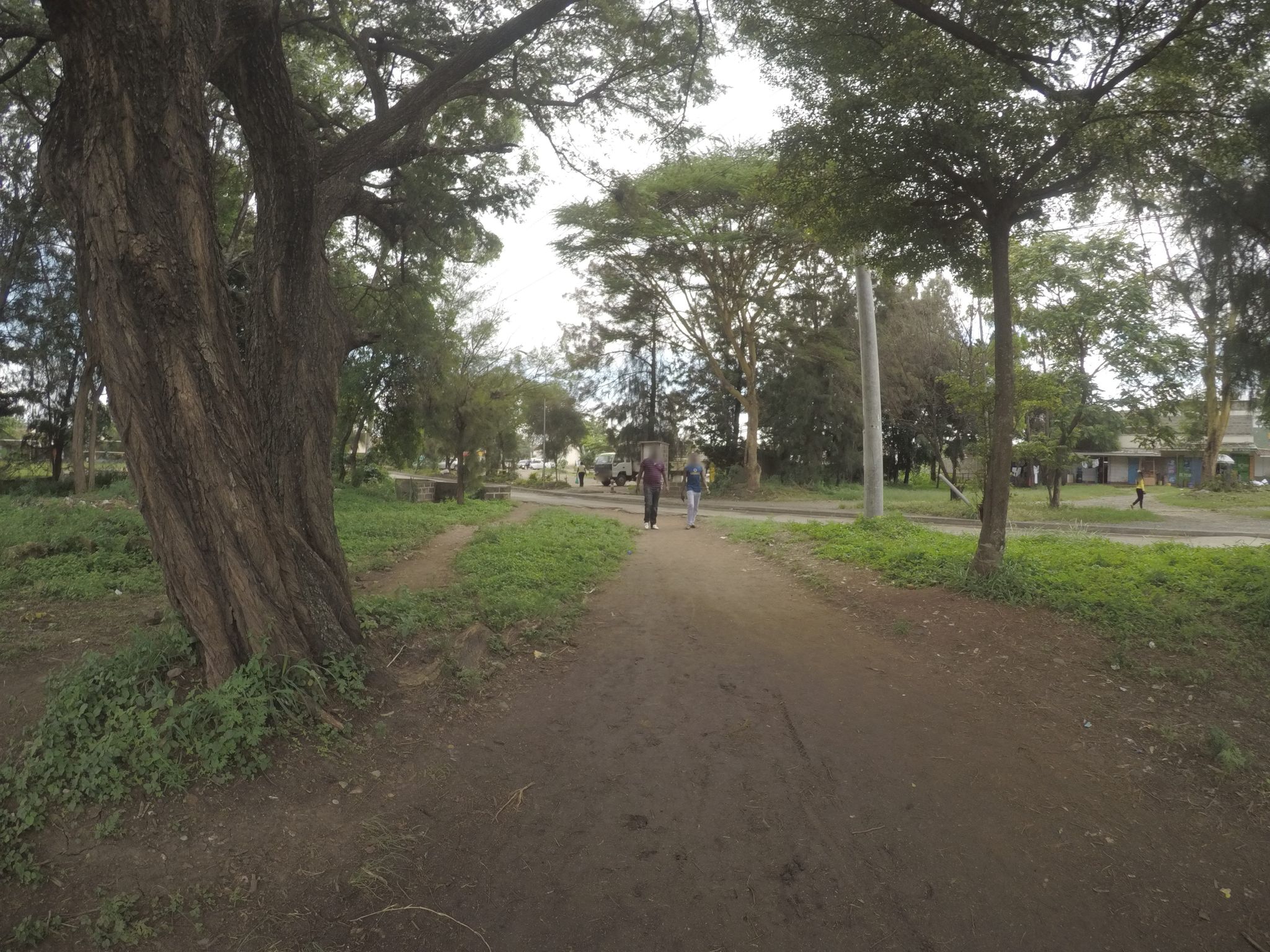 Street view of Imara Daima Estate