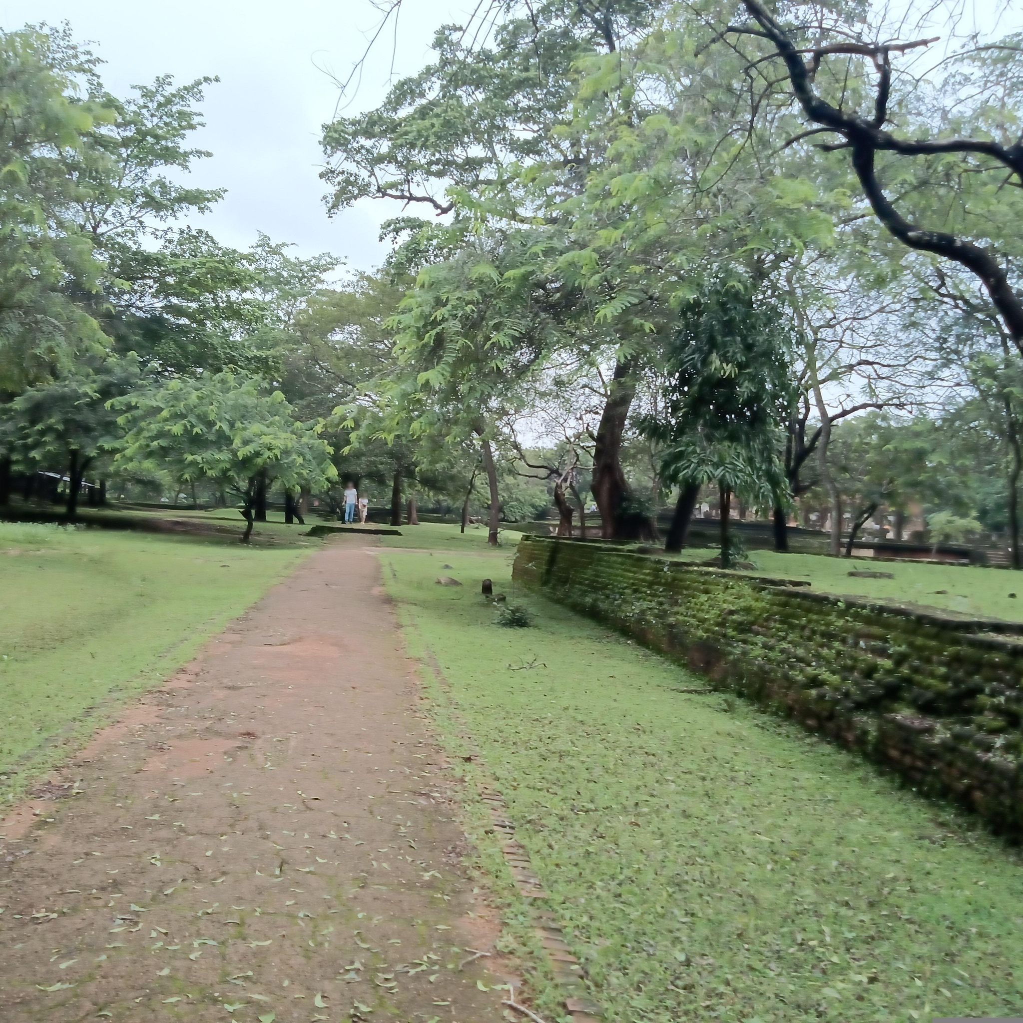 Street view of Polonnaruwa