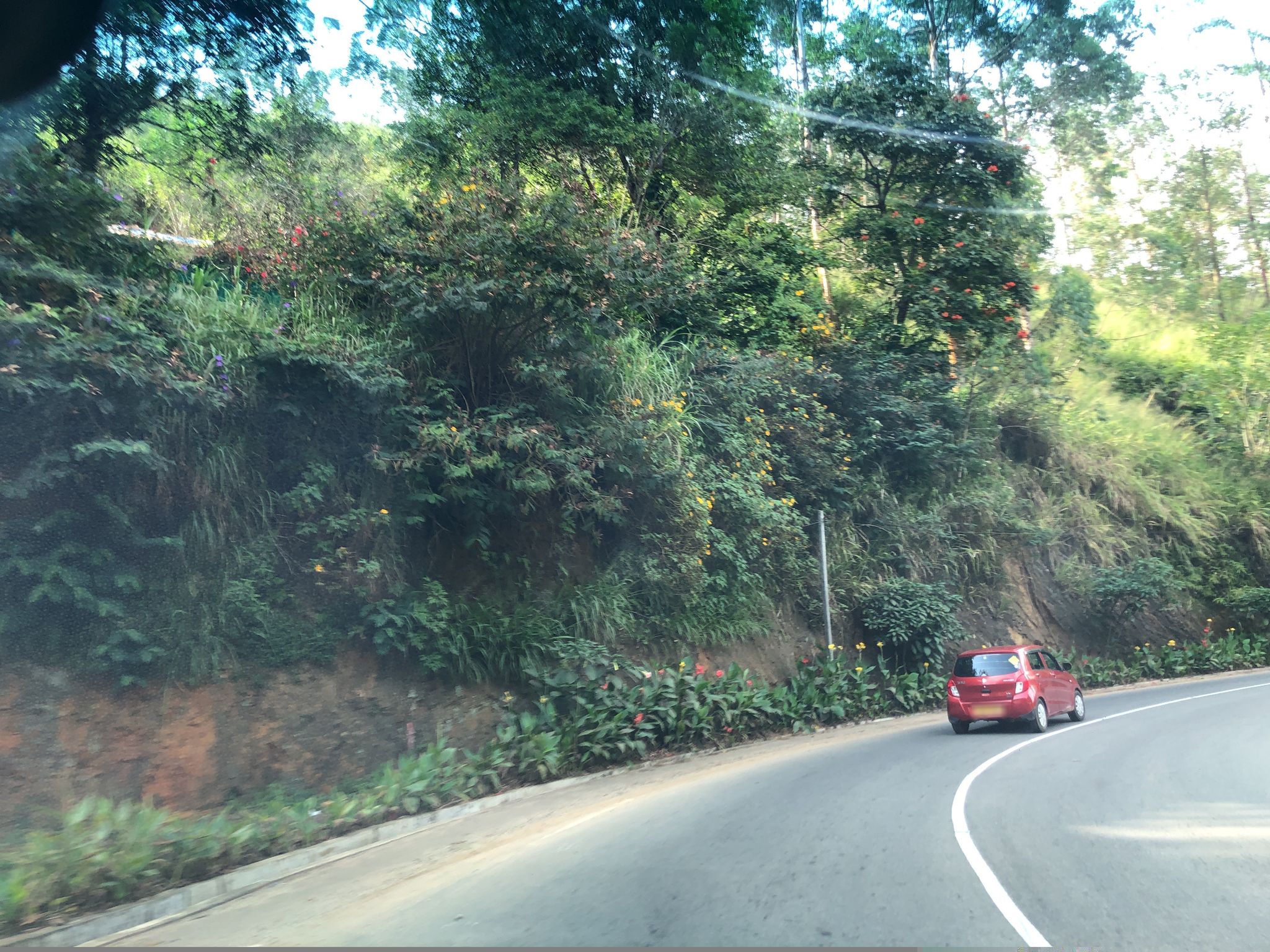 Street view of Talawakele