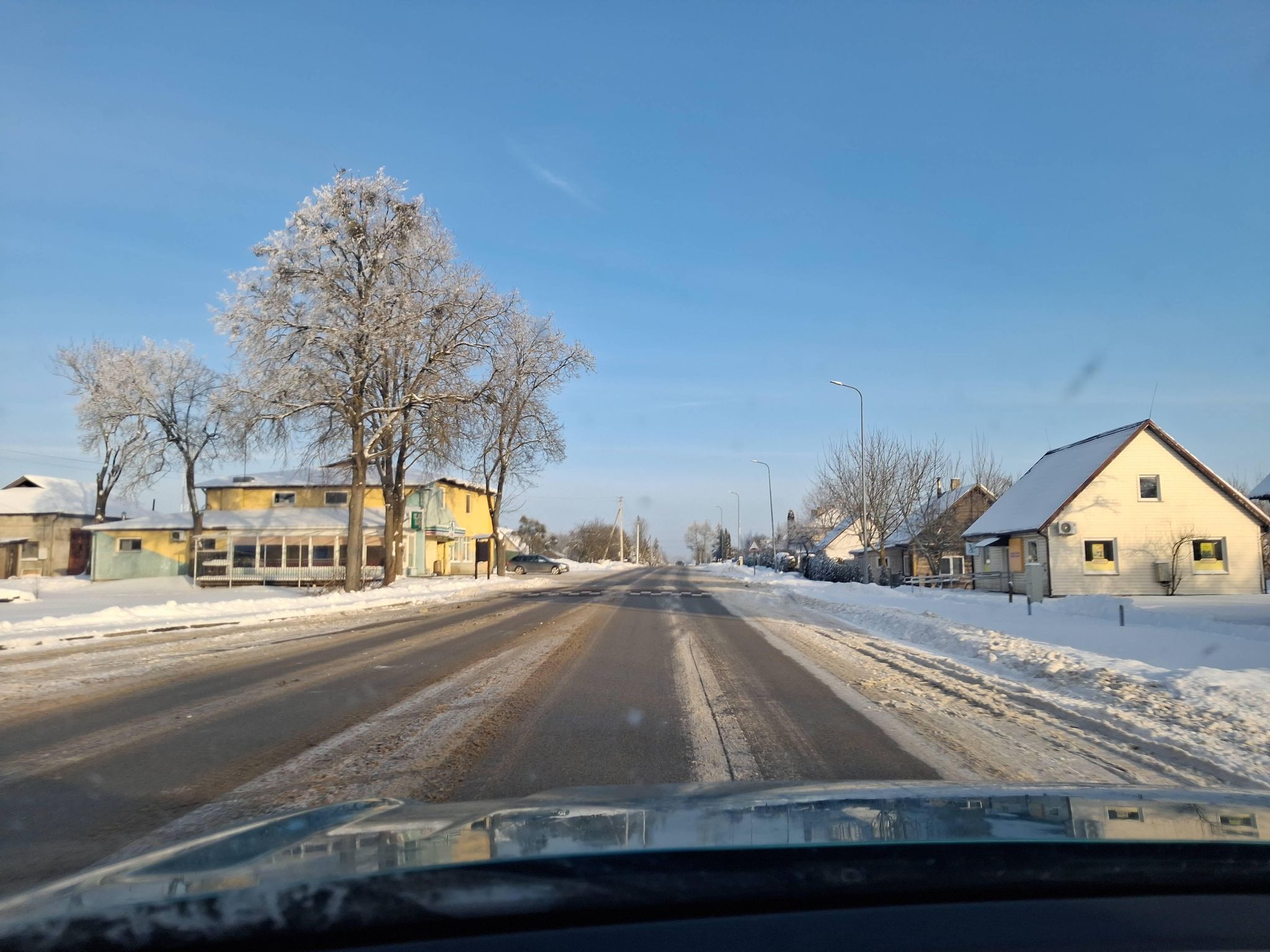 Street view of Leipalingis