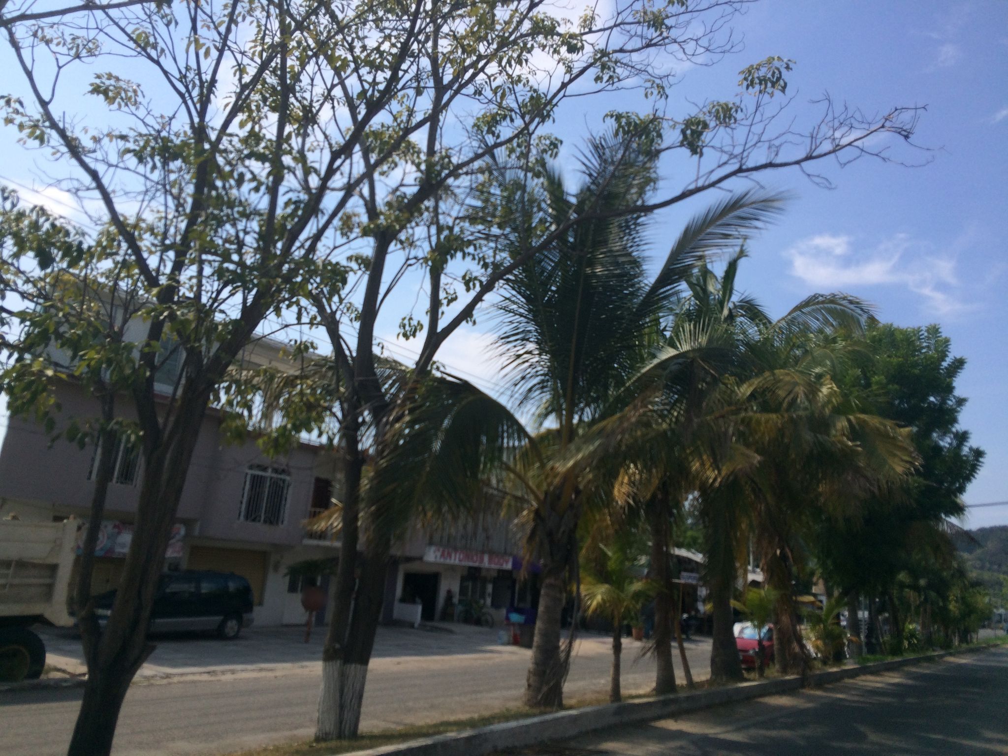 Street view of San Patricio