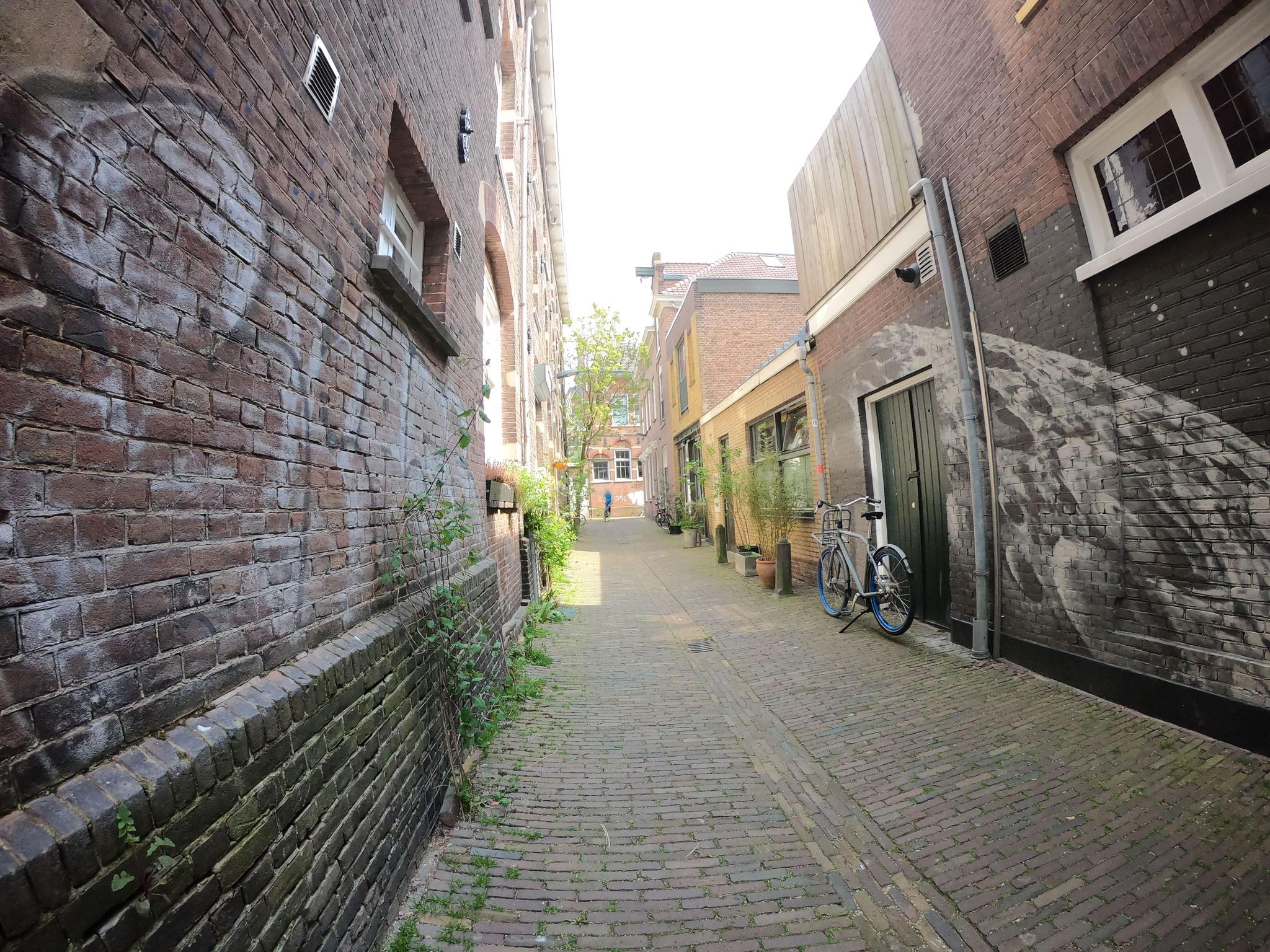 Street view of Haarlem