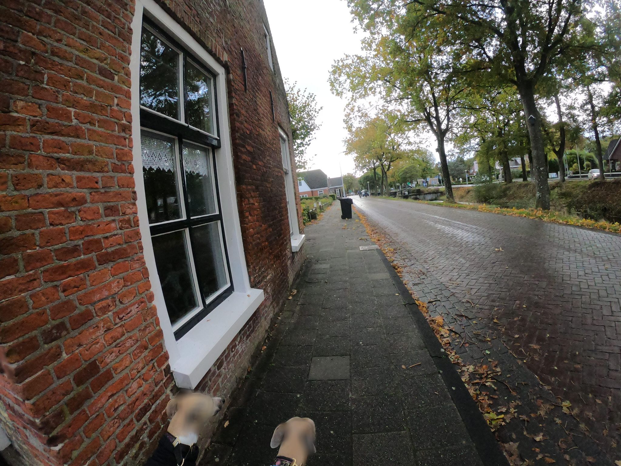 Street view of Bakkeveen