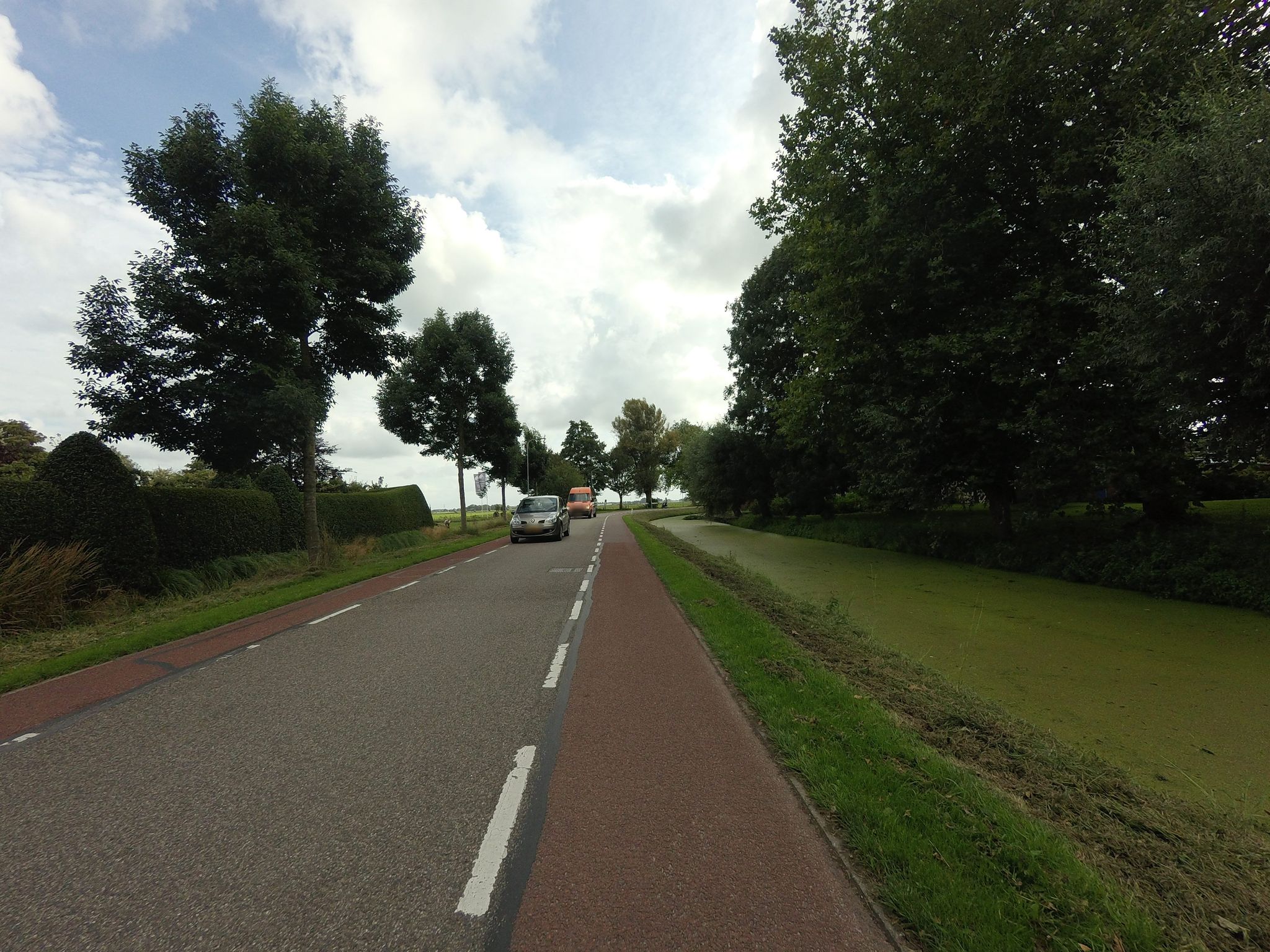 Street view of Midwoud