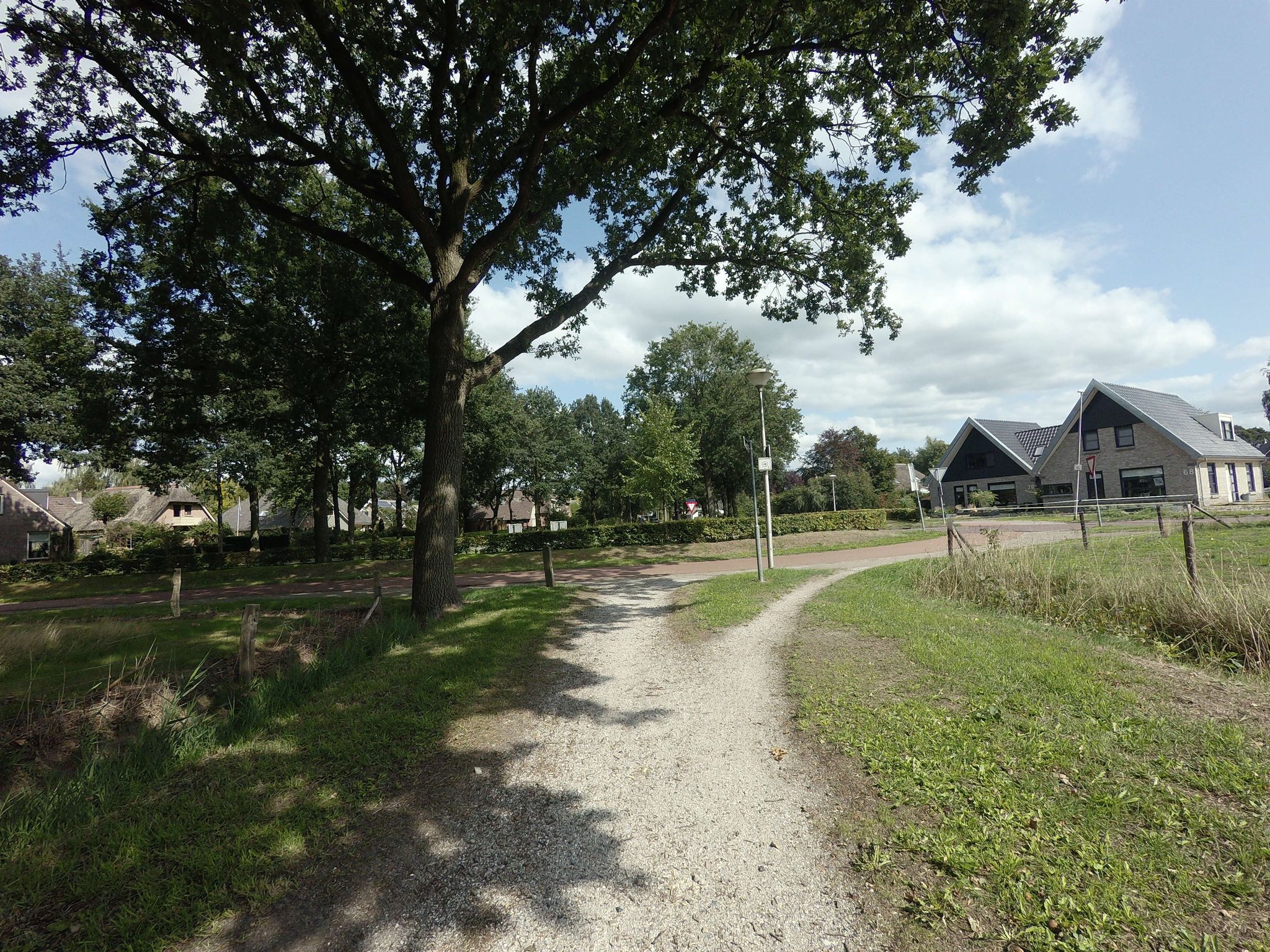 Street view of De Wijk