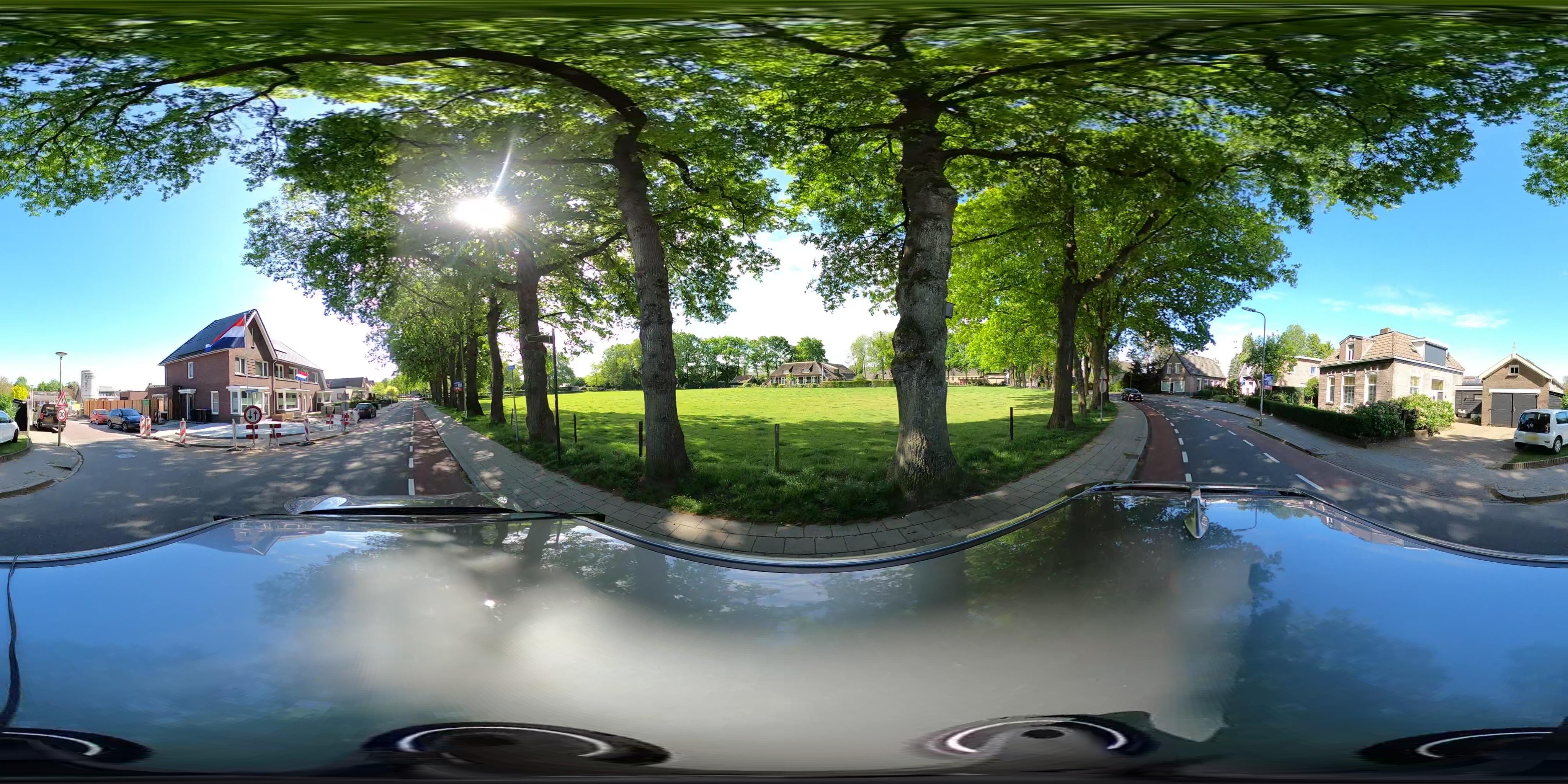 Street view of Haarle