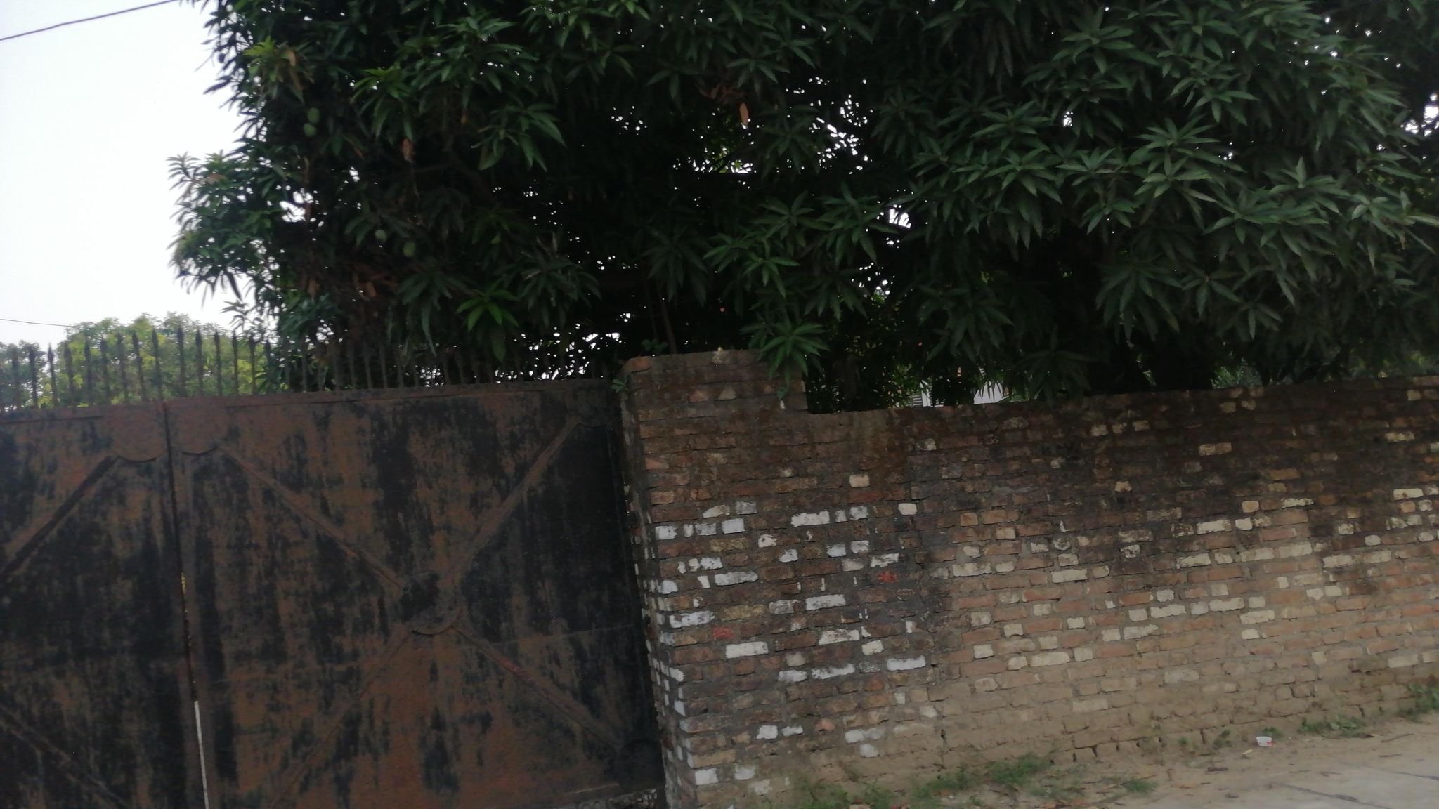 Street view of Siddharthanagar