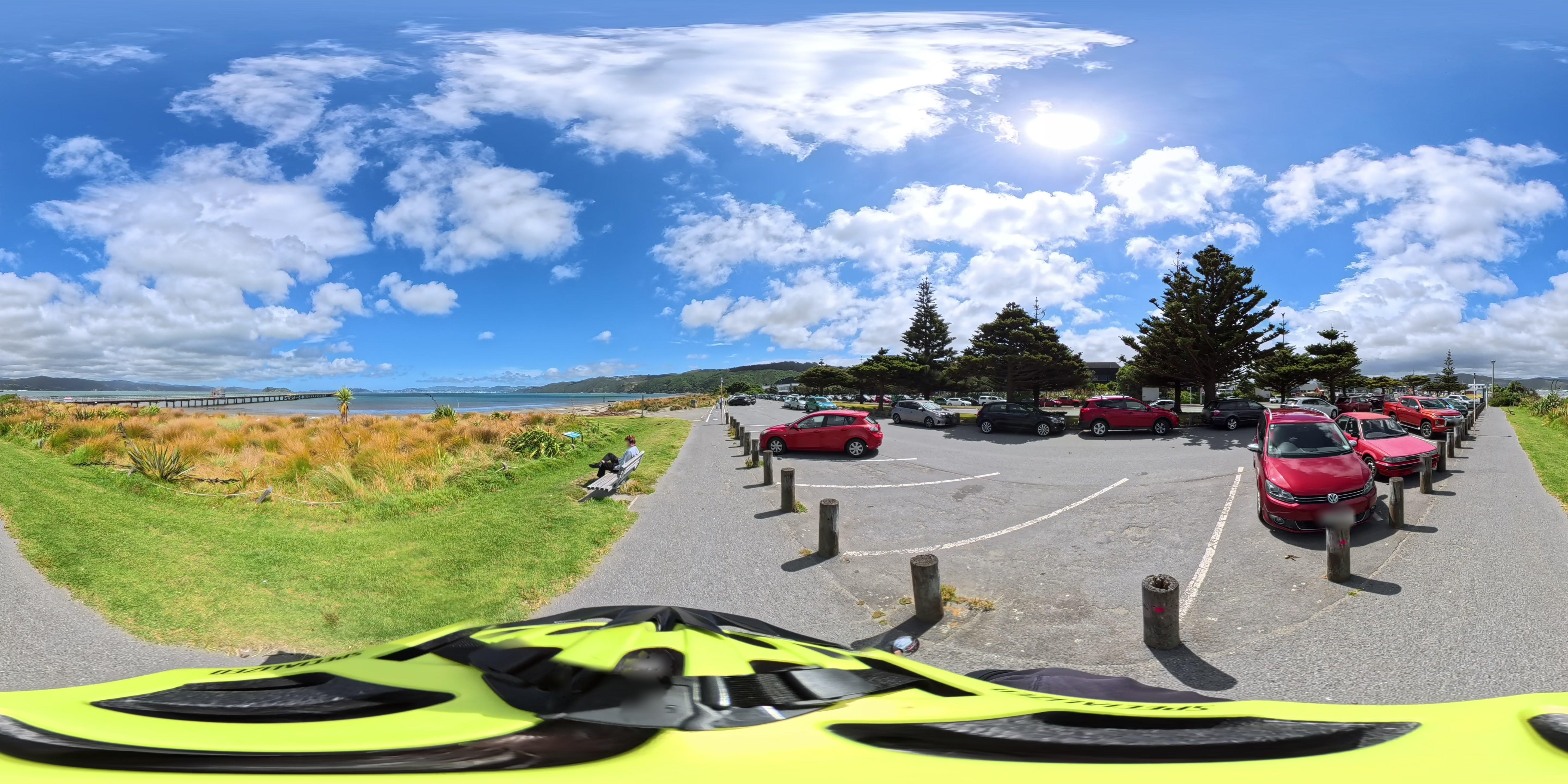 Street view of Petone