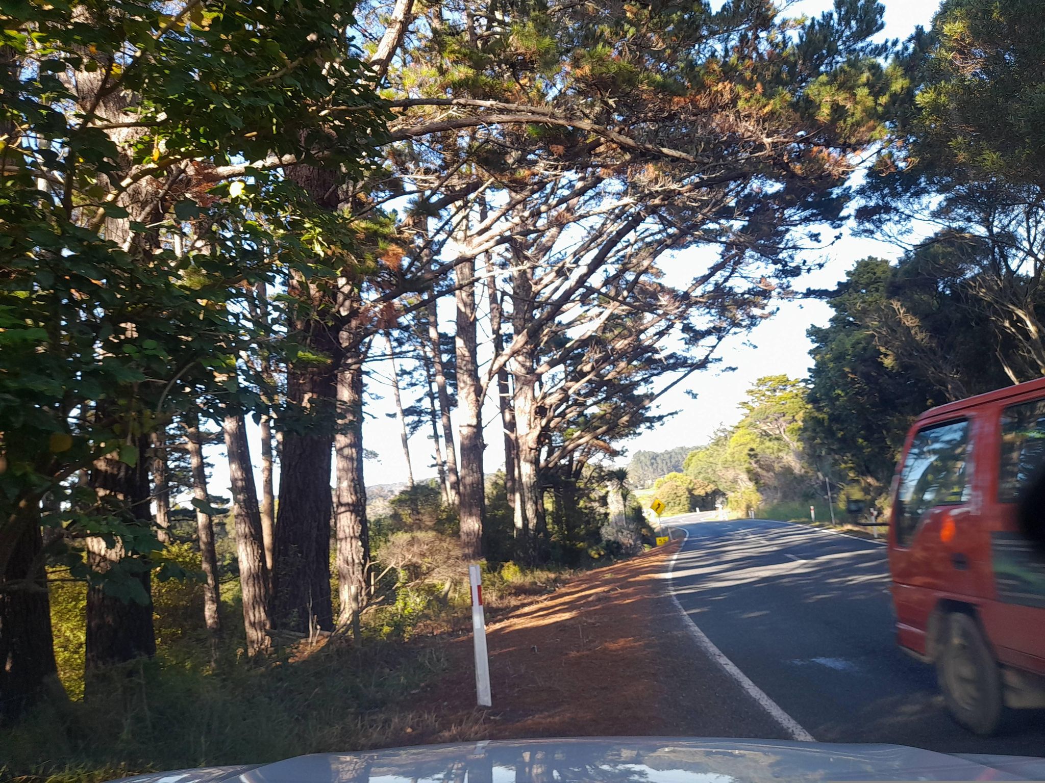 Street view of Mangawhai Heads