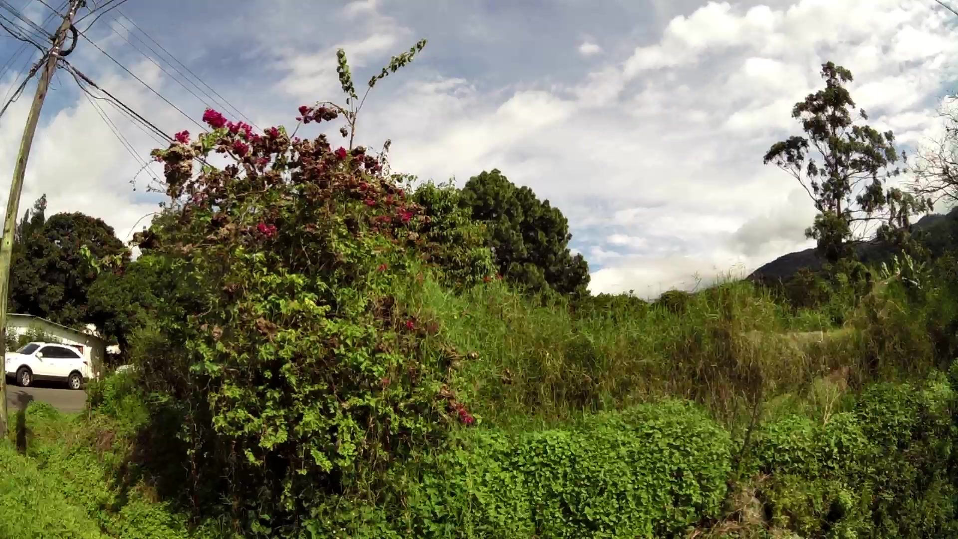 Street view of Bajo Boquete