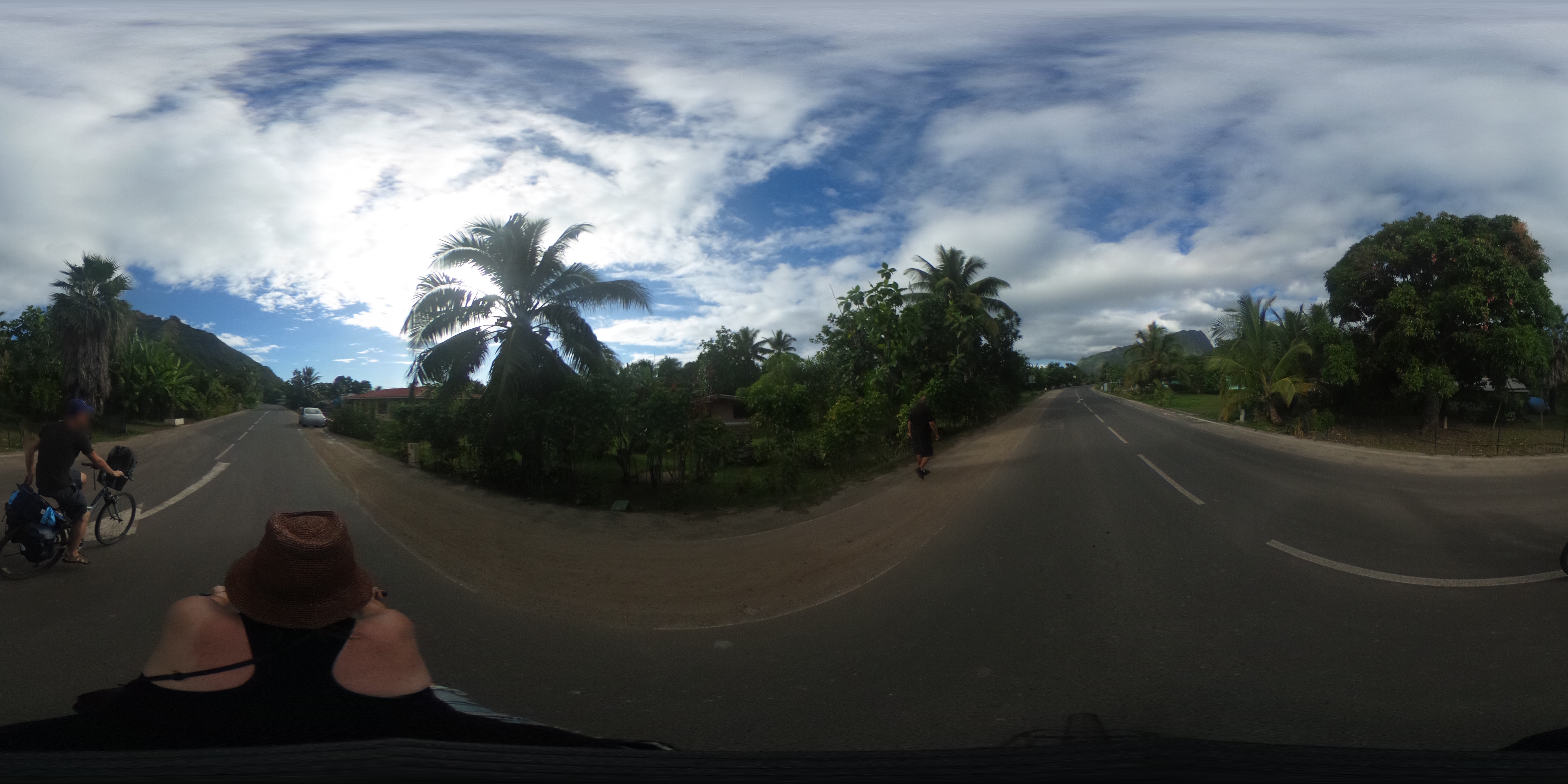 Street view of Papetoai