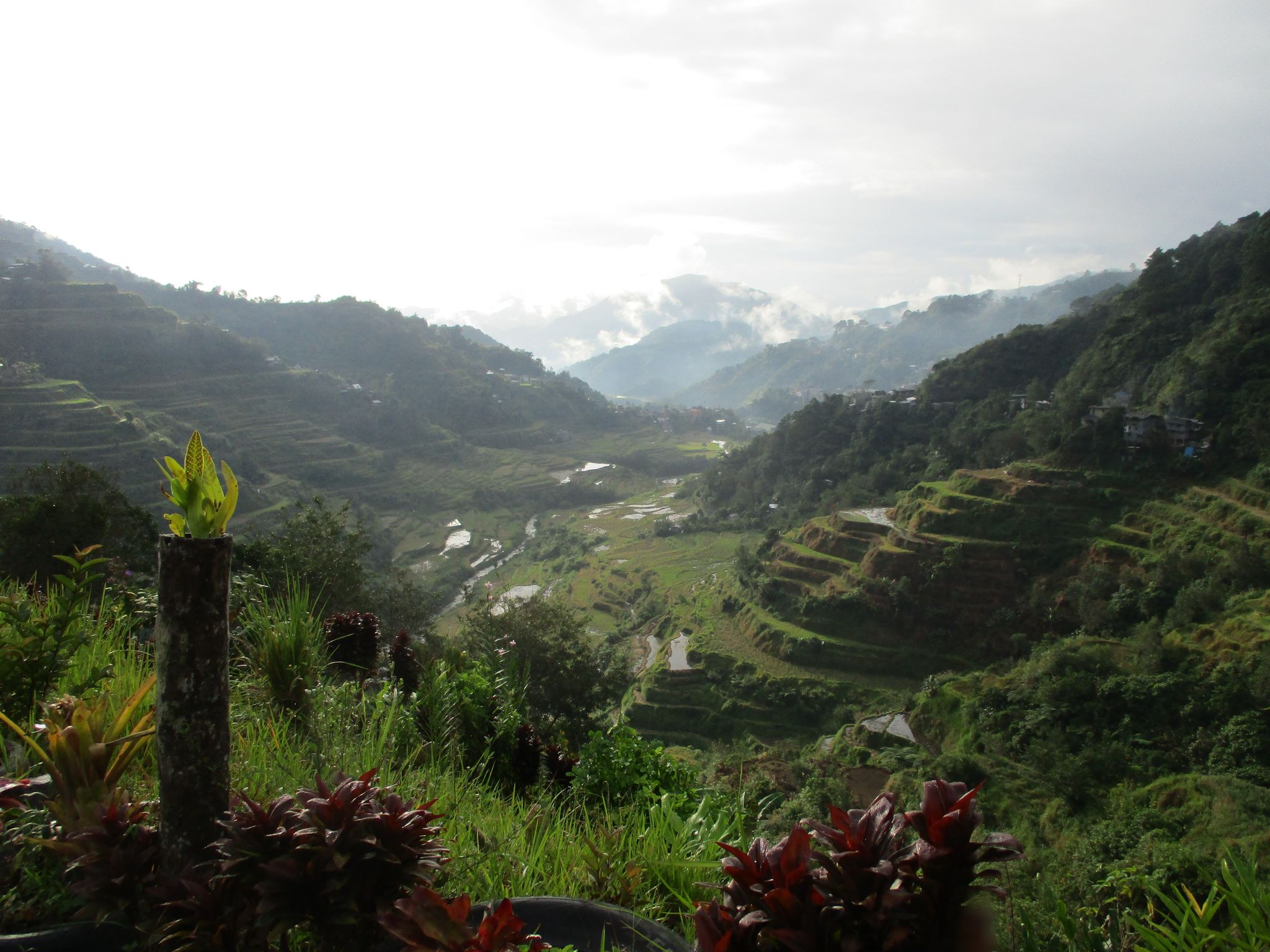 Street view of Bocos