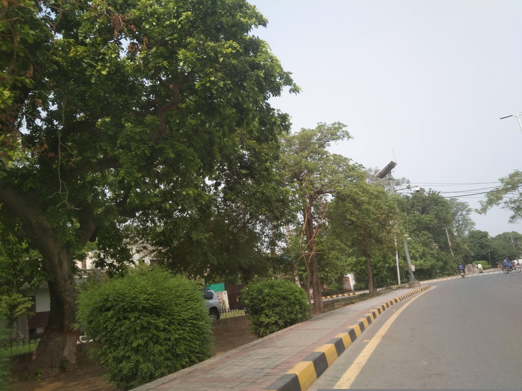Street view of Model Town