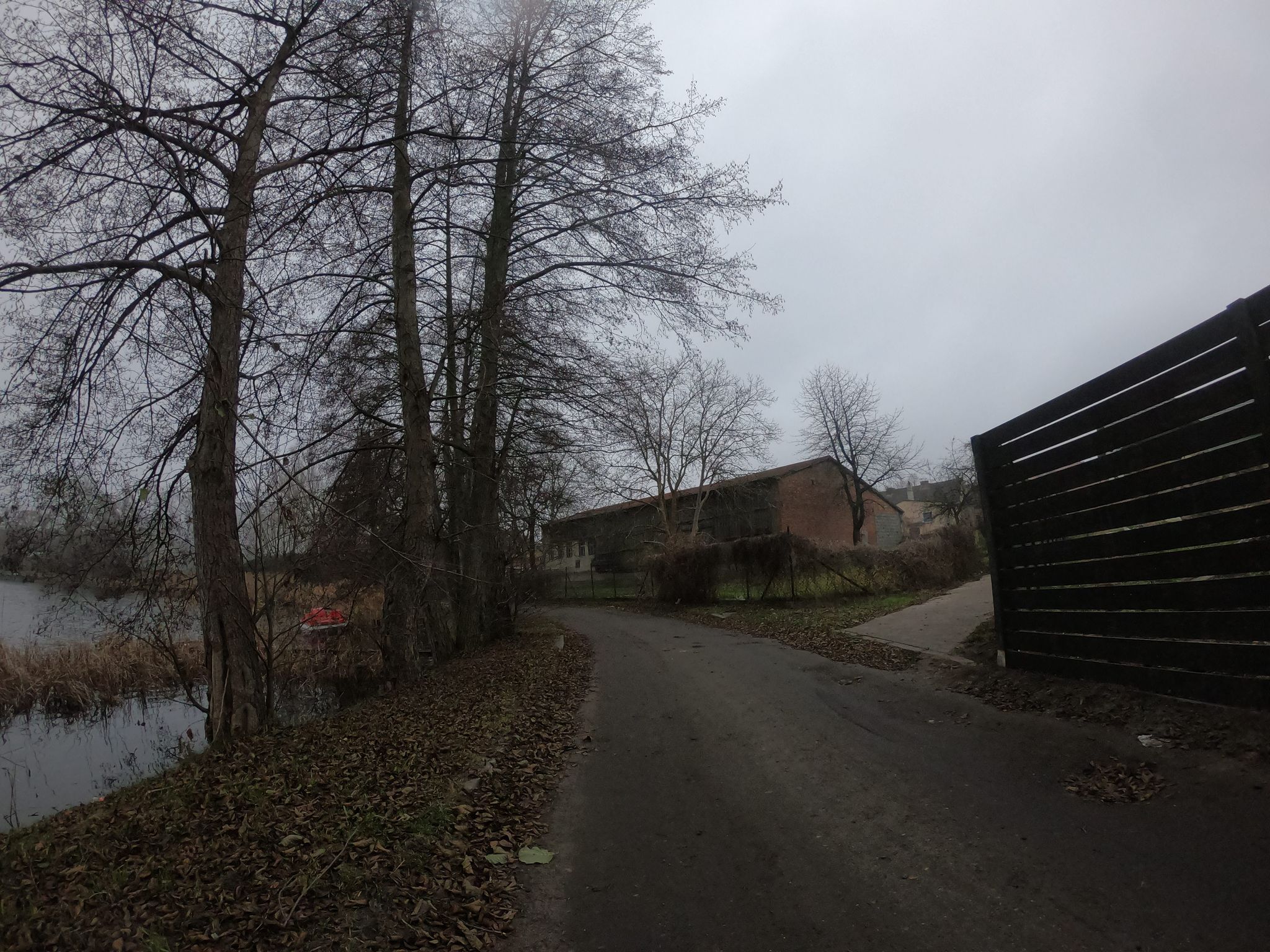 Street view of Pszczew