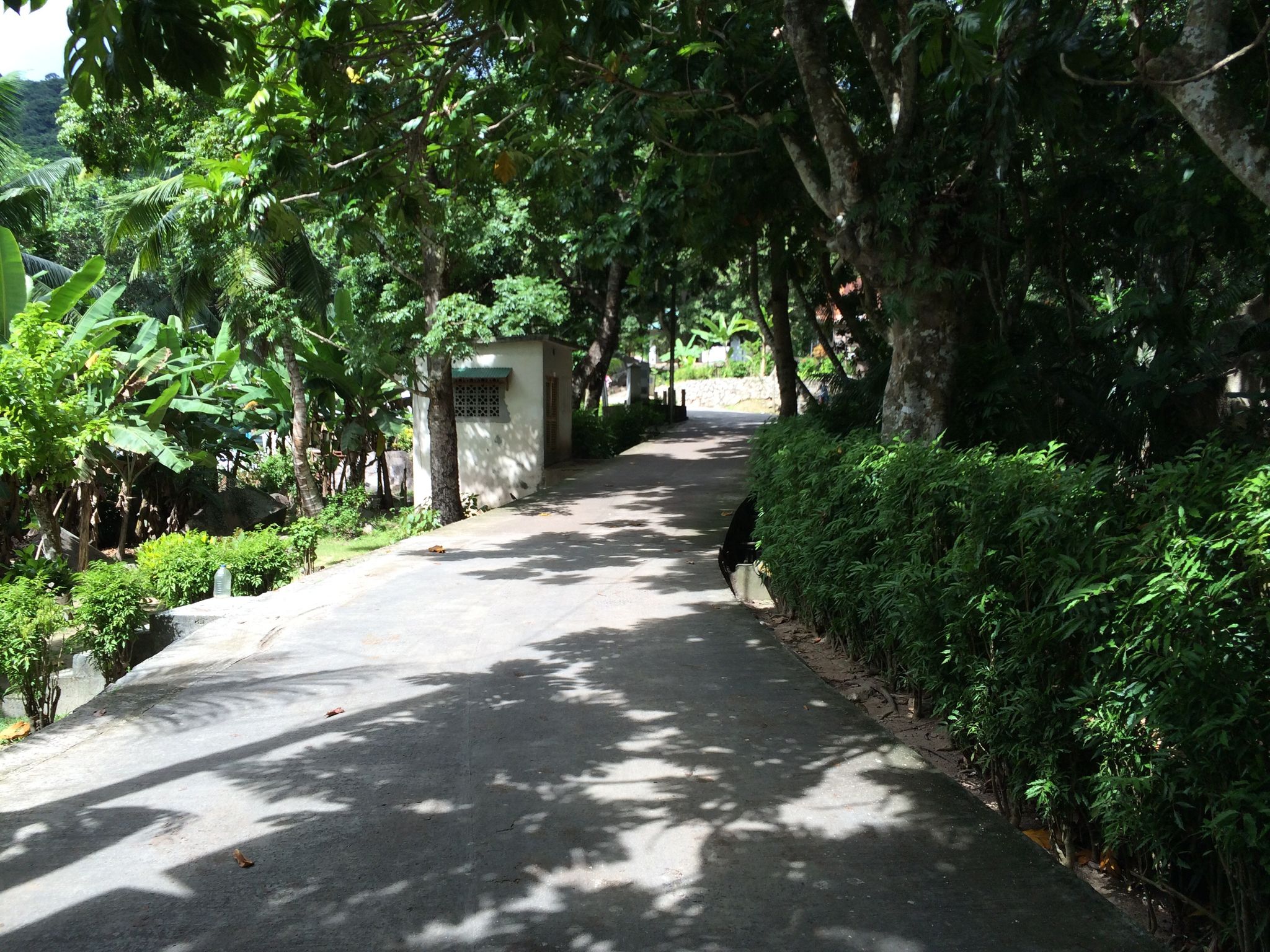 Street view of La Digue