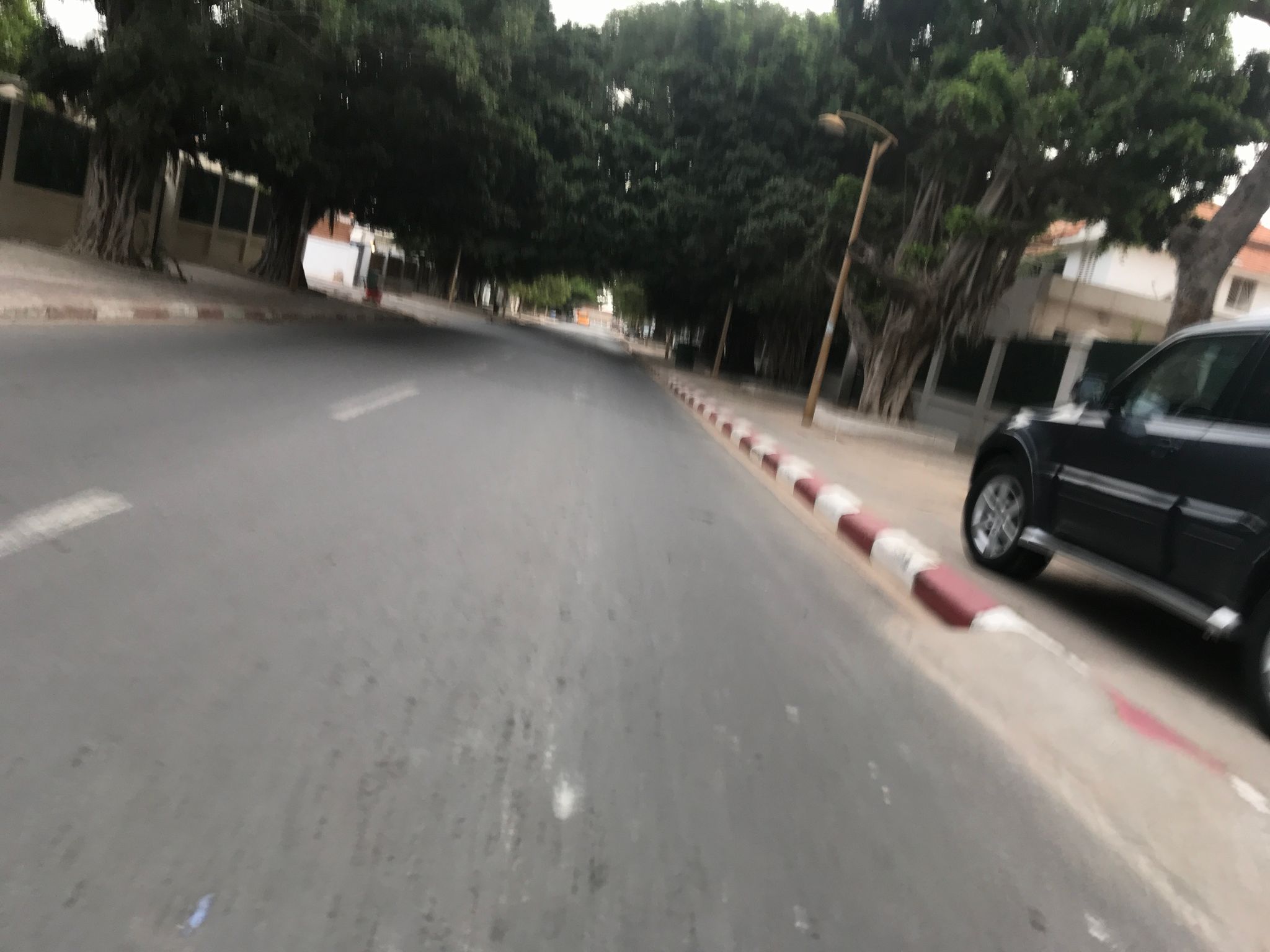Street view of Le Plateau