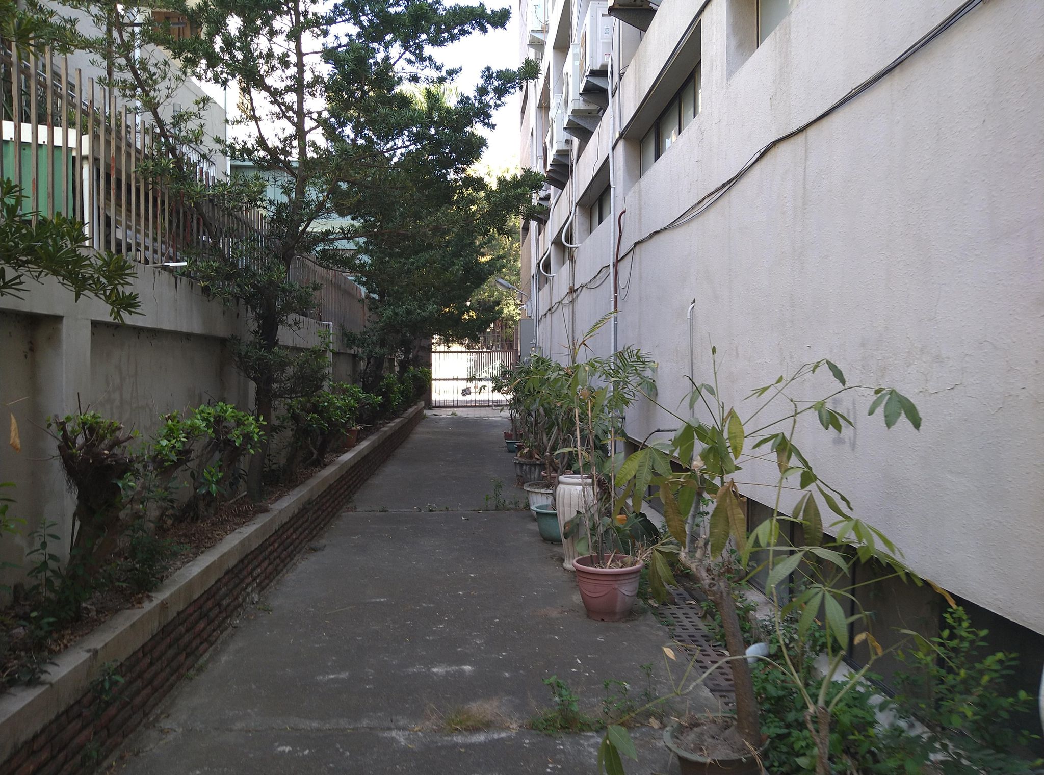 Street view of Tainan