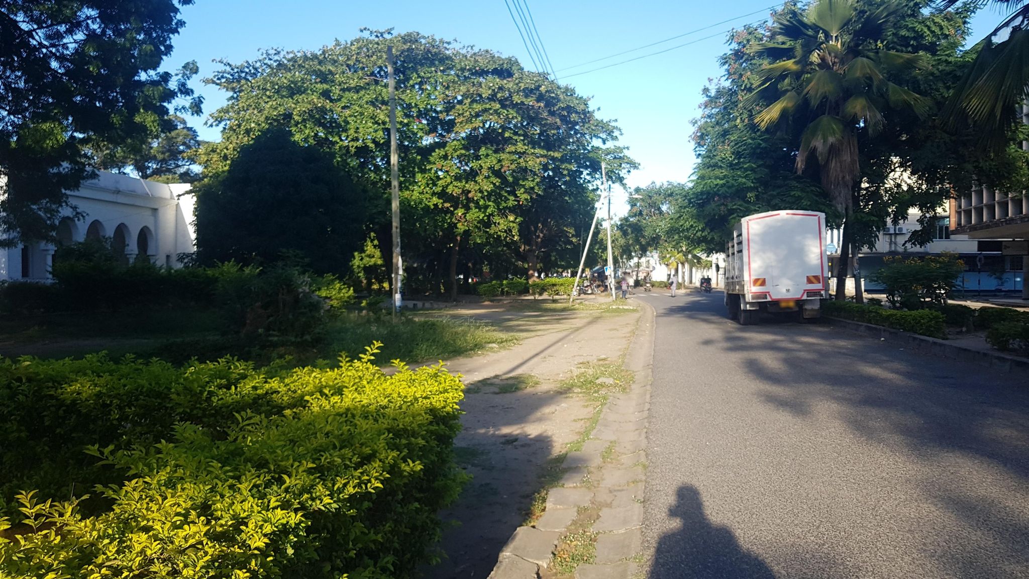 Street view of Tanga
