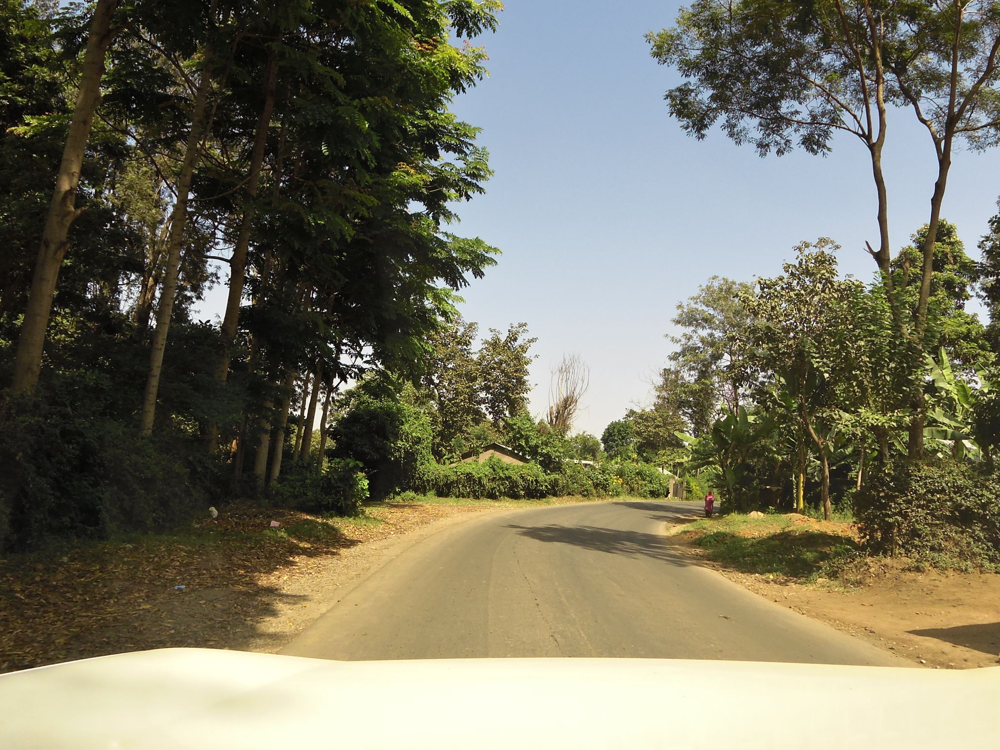 Street view of Poli