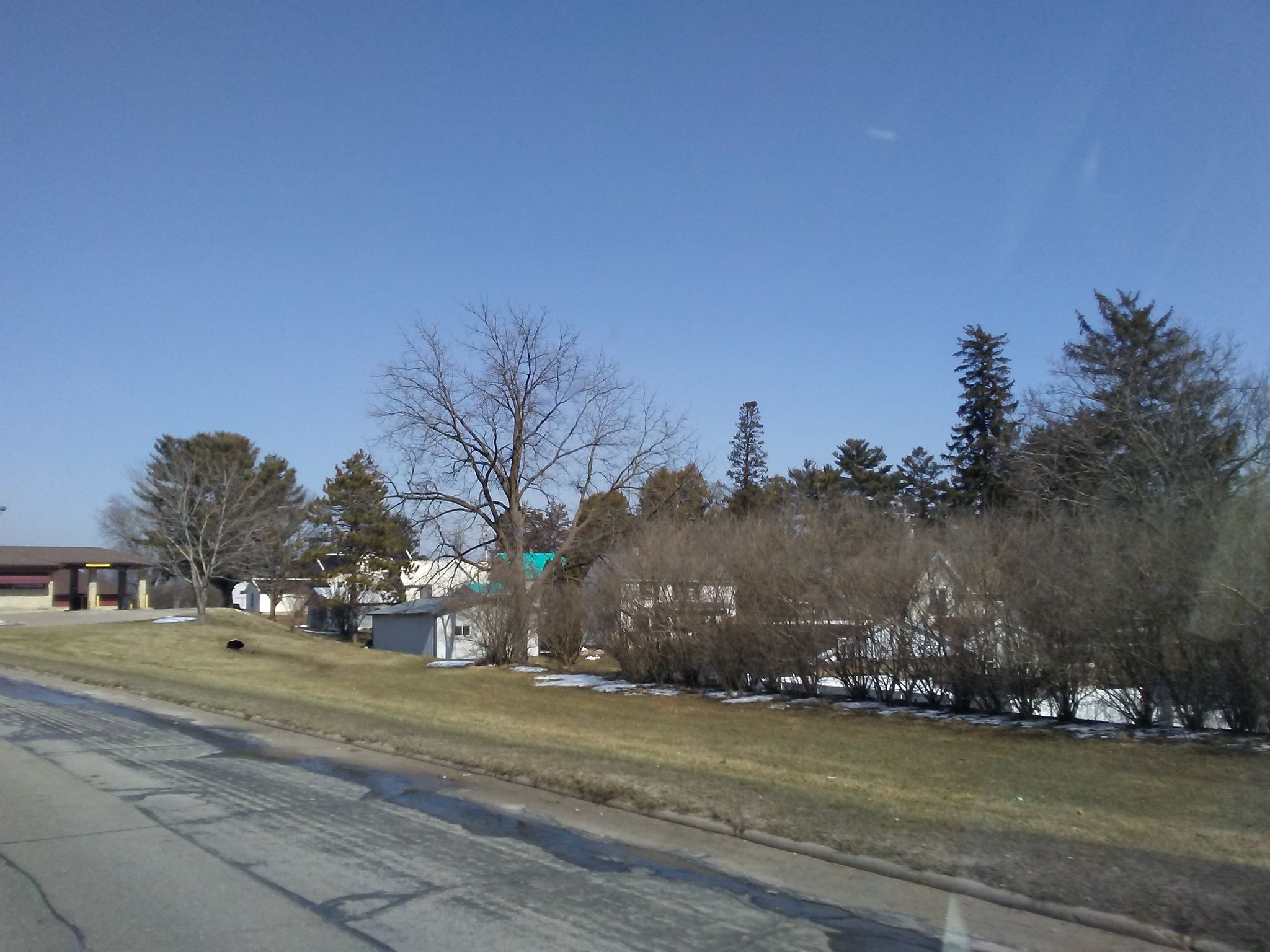 Street view of Westby