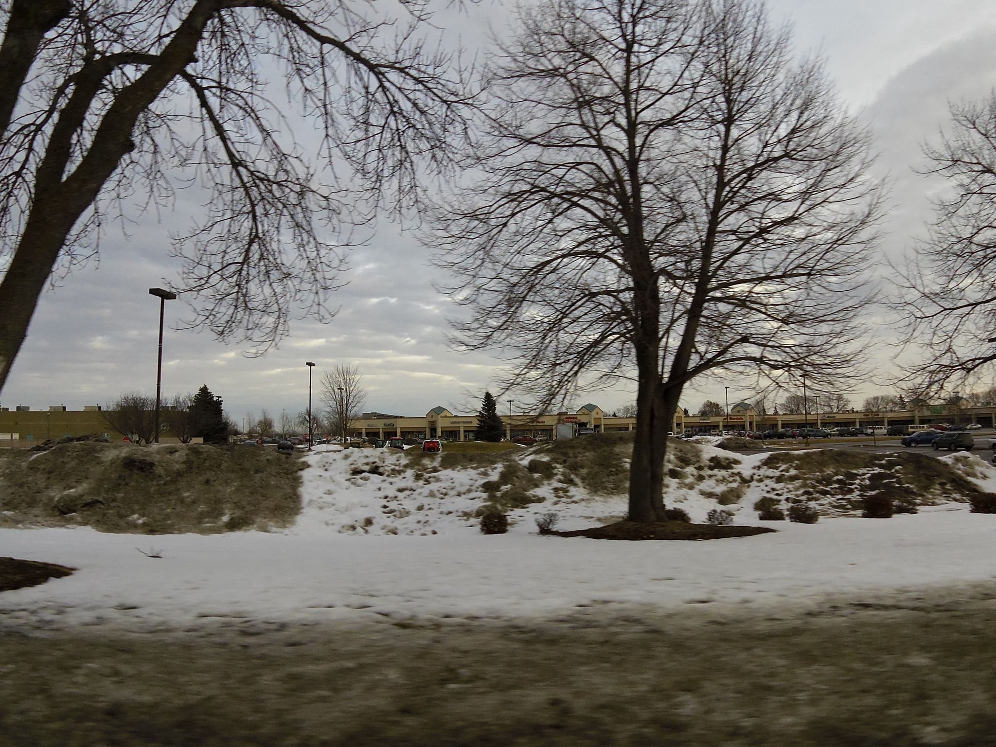 Street view of Oakdale