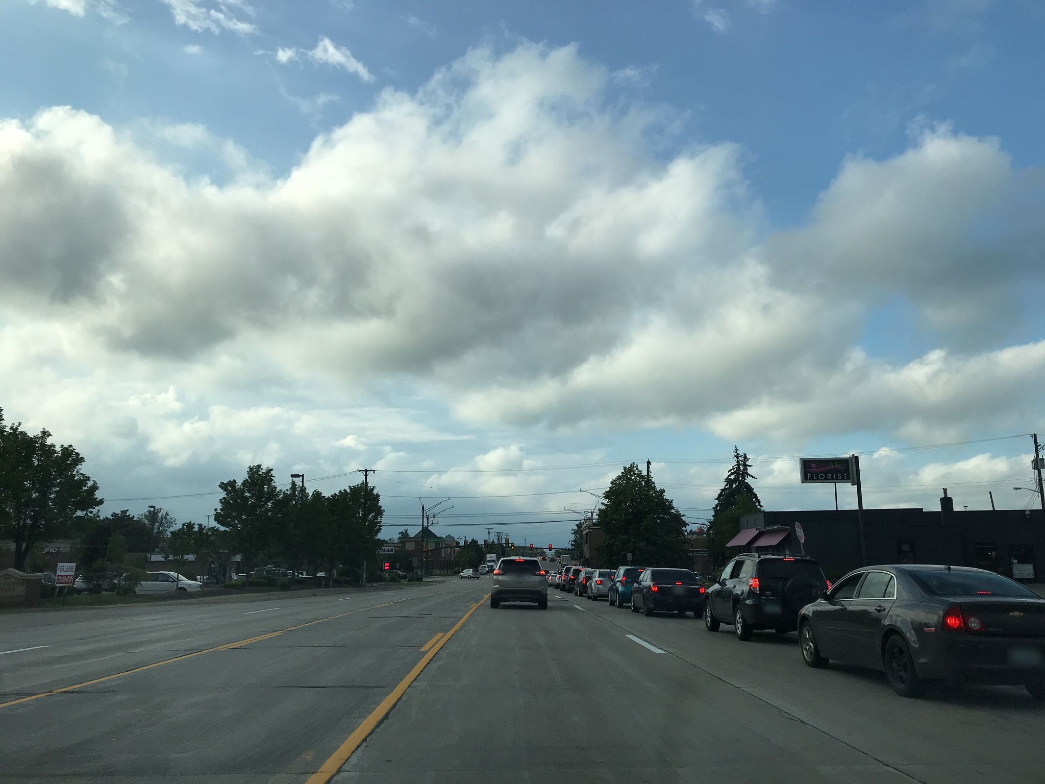 Street view of Novi