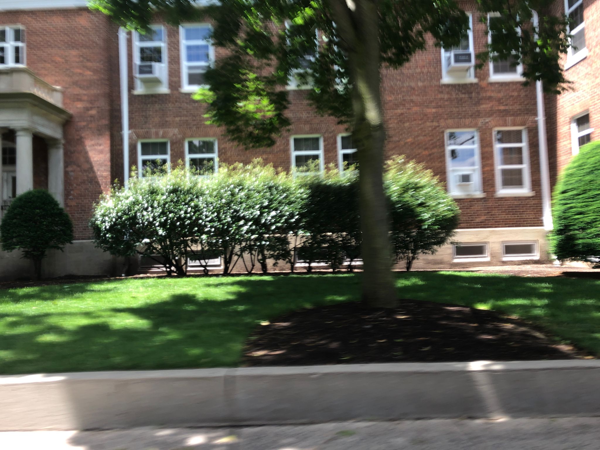 Street view of East Garden City