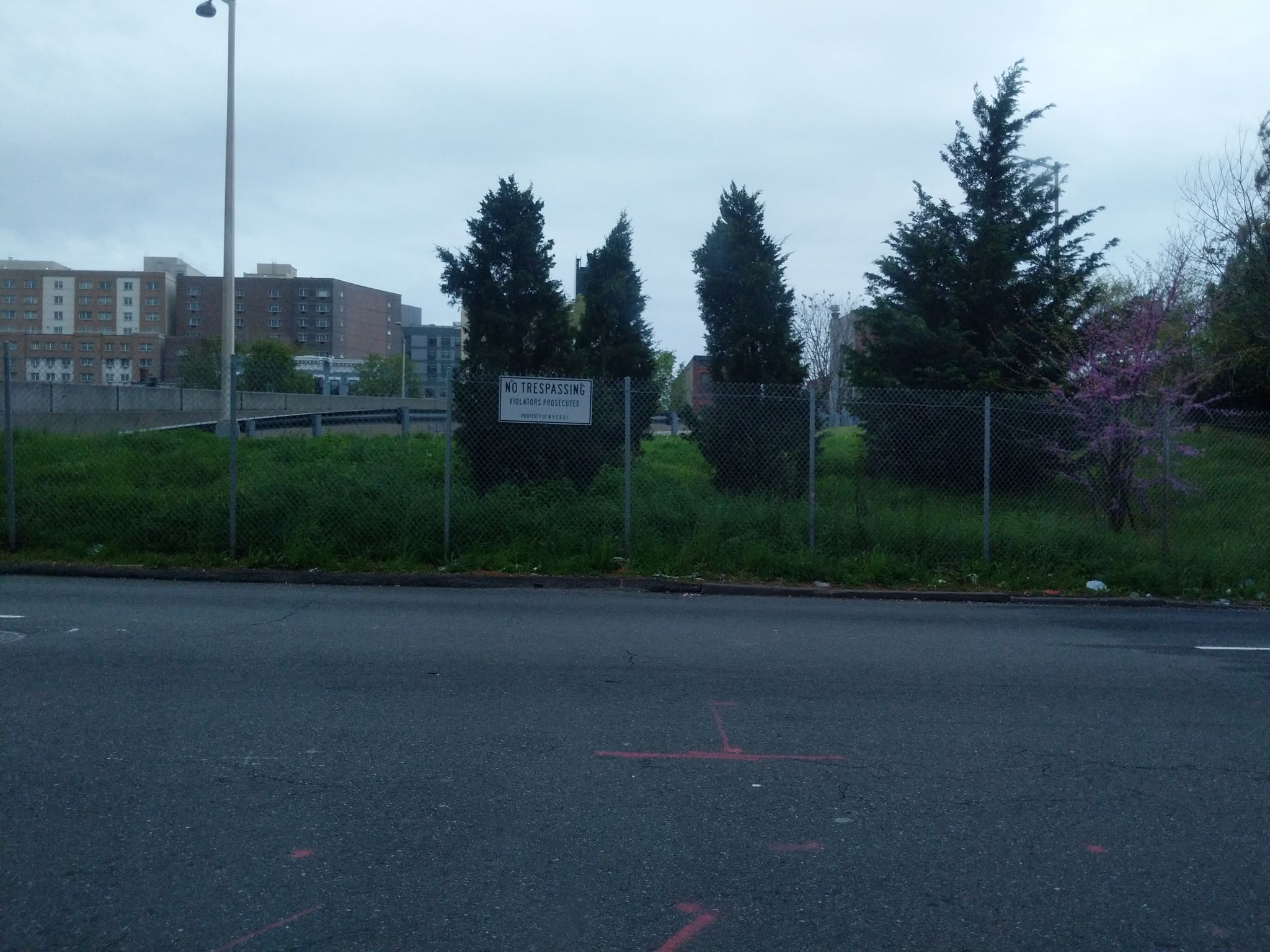 Street view of Mott Haven