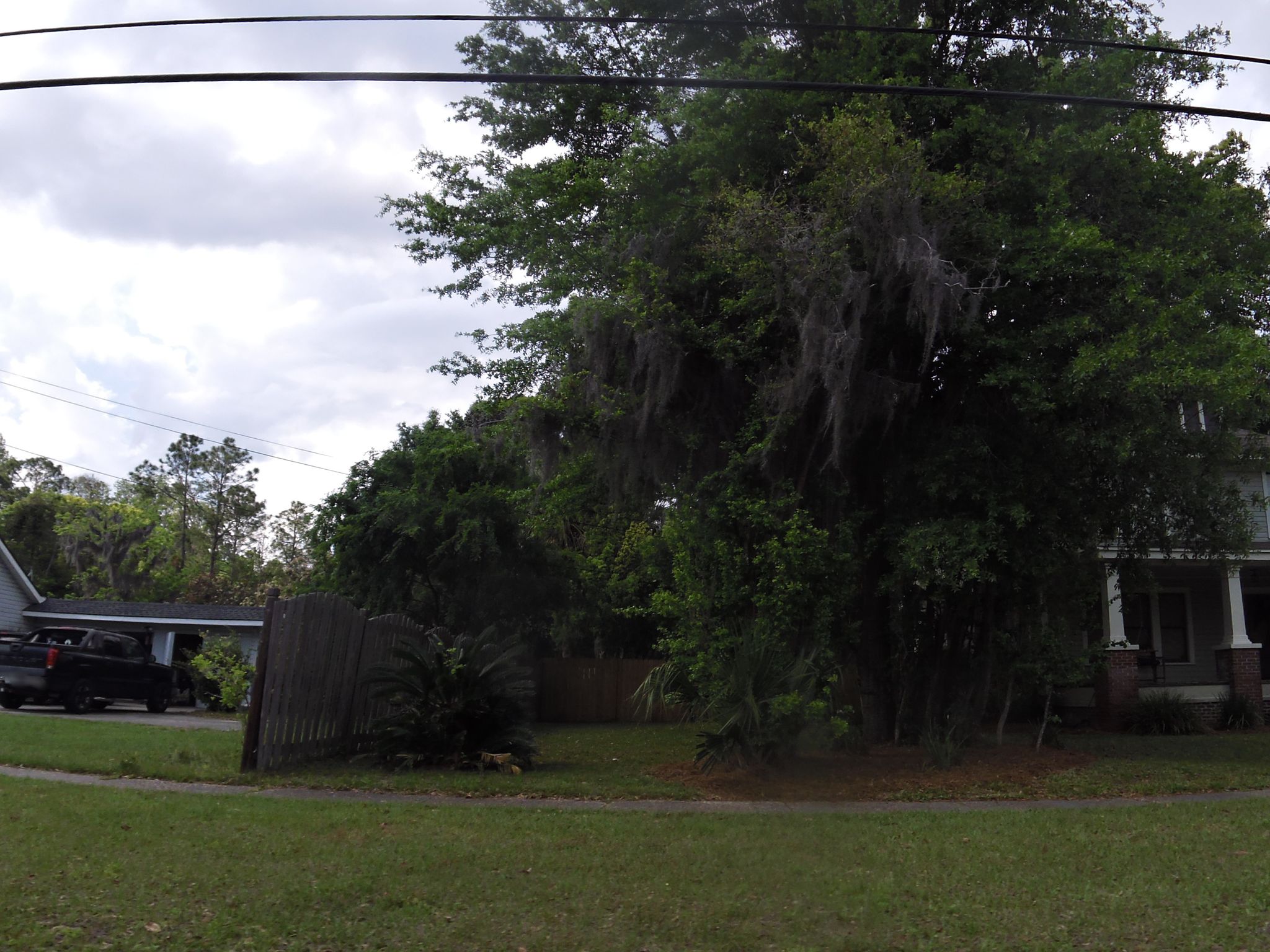 Street view of Folkston