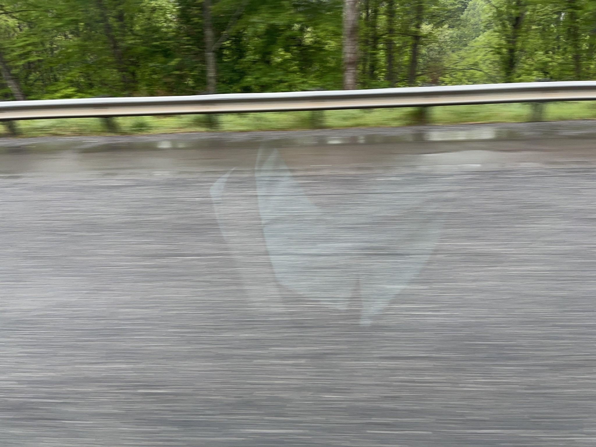 Street view of Cove Creek
