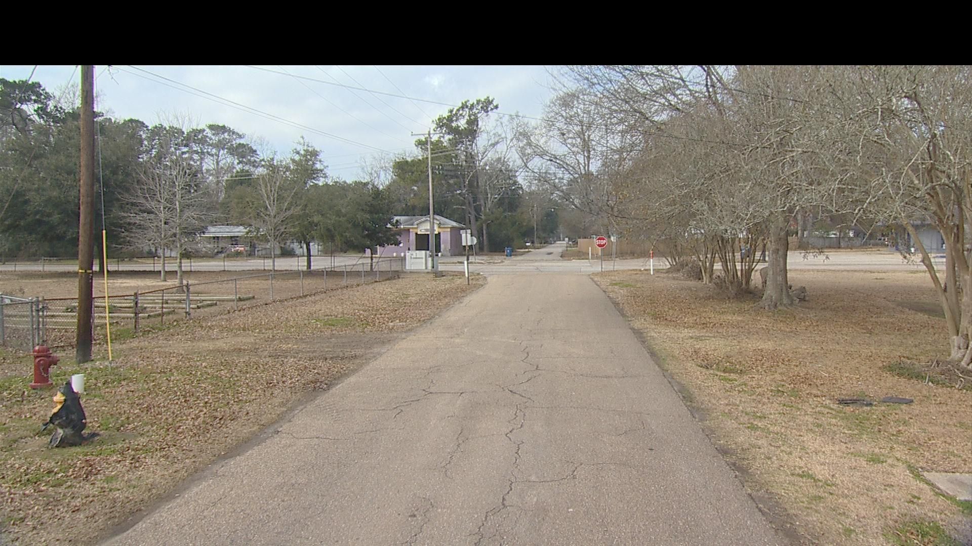 Street view of Denham Springs