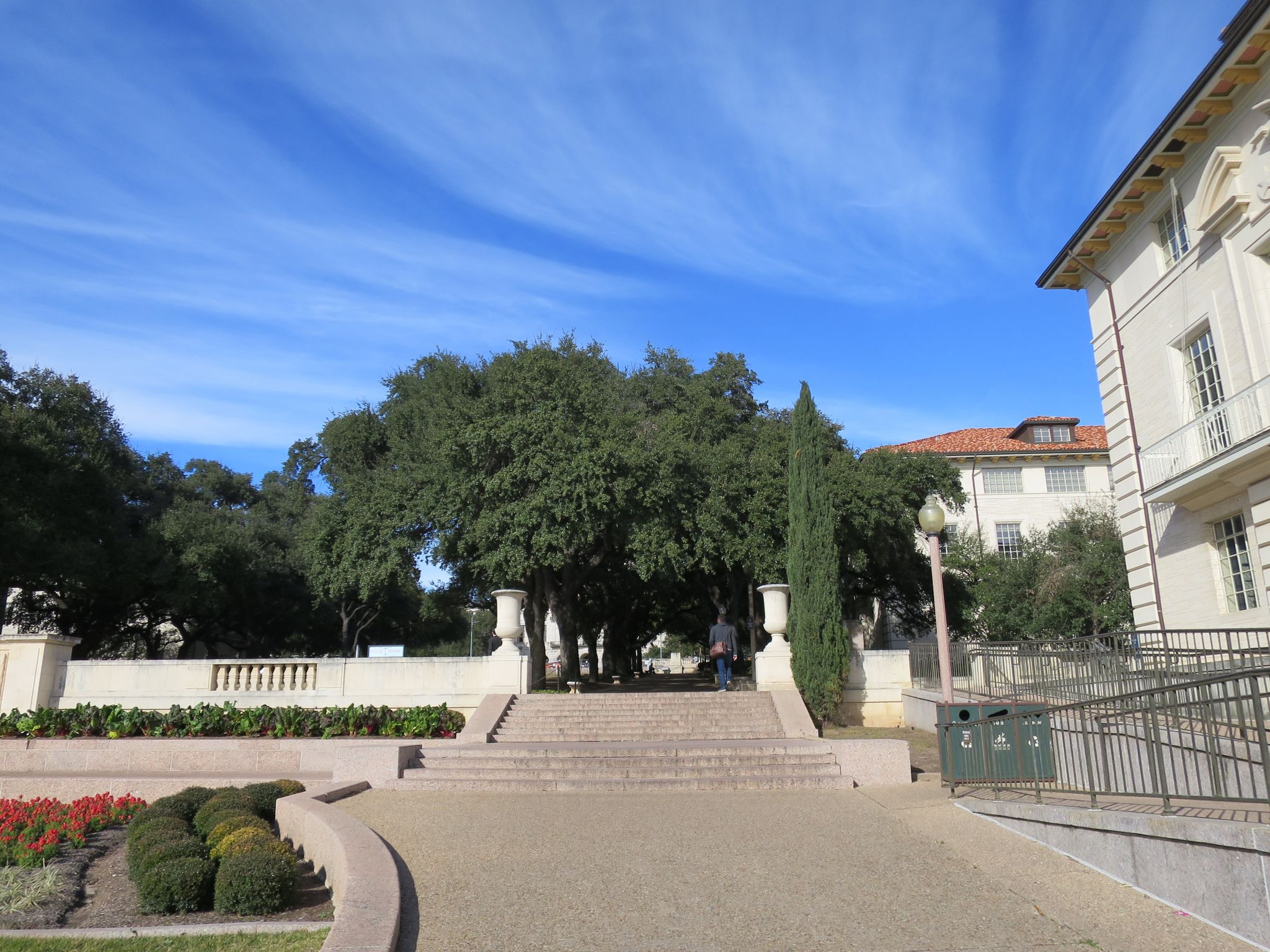 Street view of University of Texas