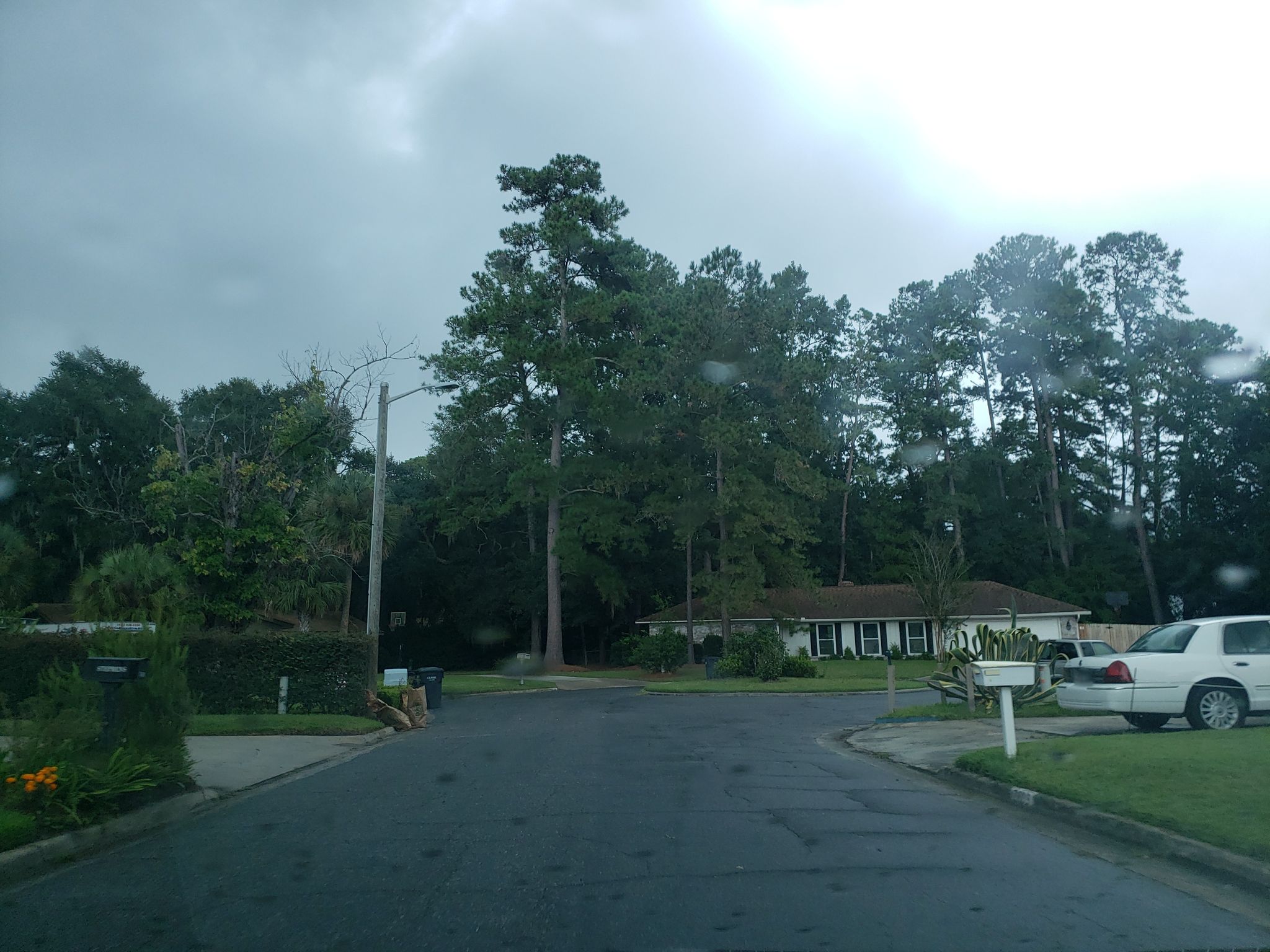 Street view of Isle of Hope