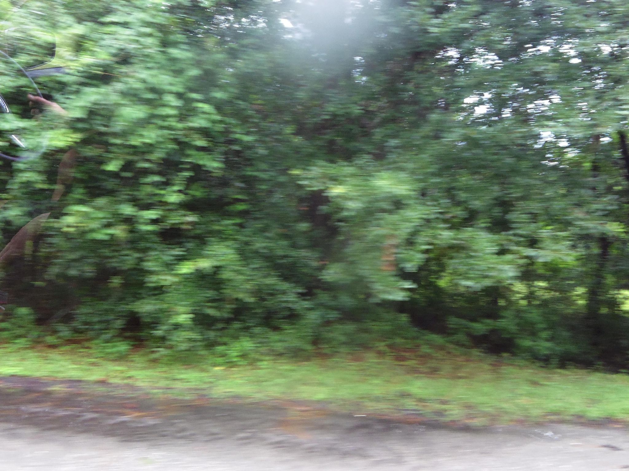 Street view of Nassau Village-Ratliff
