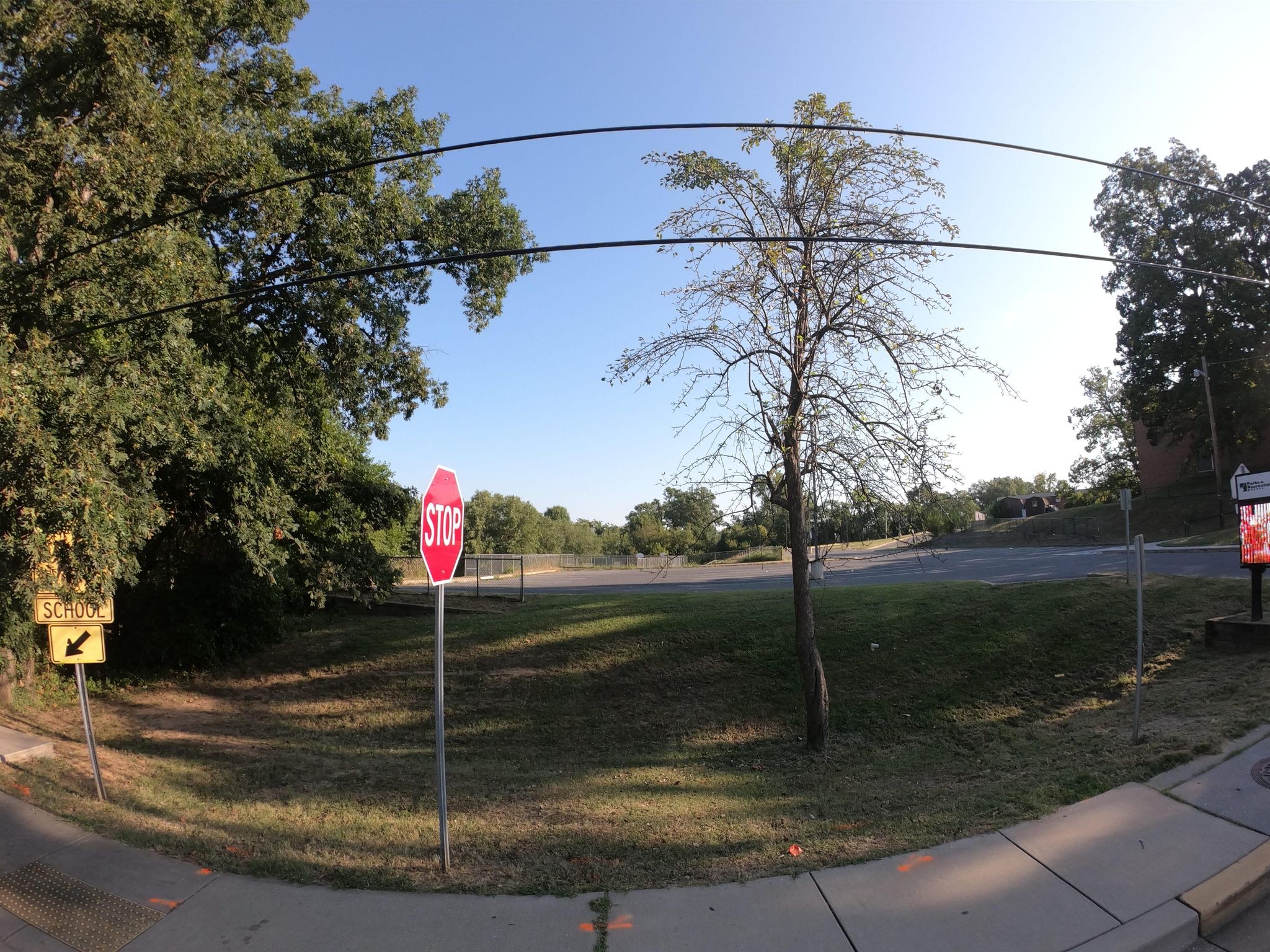 Street view of Berwyn Heights