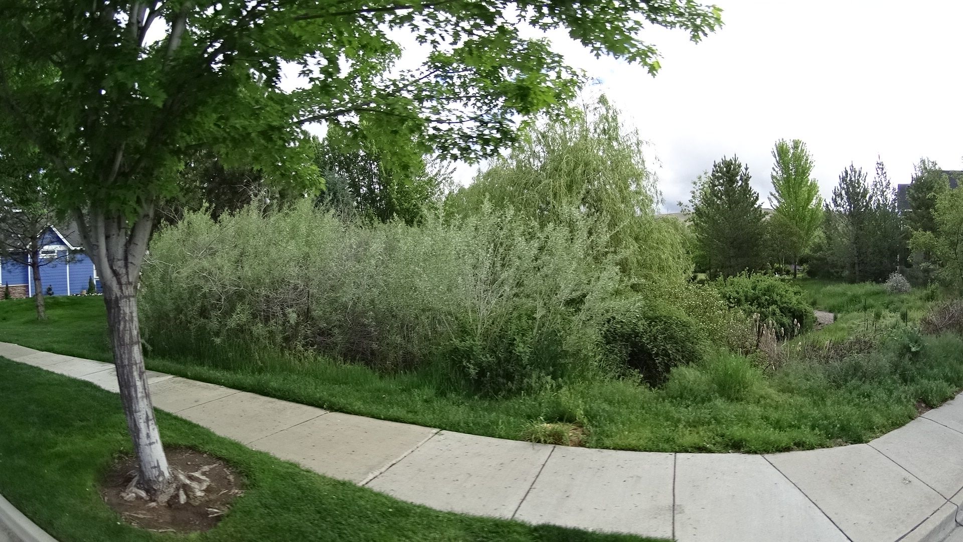 Street view of Hidden Spring