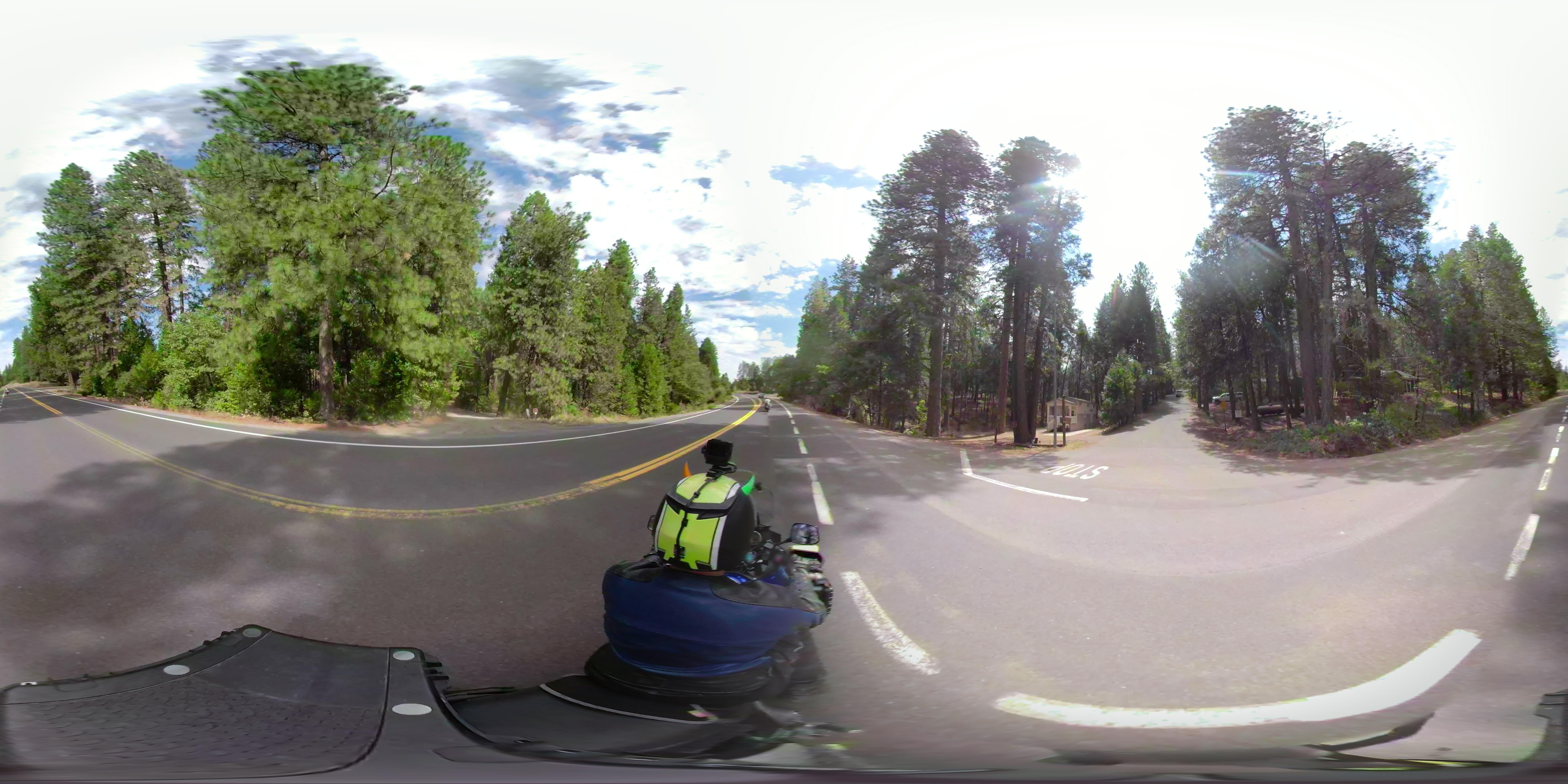 Street view of Forest Meadows