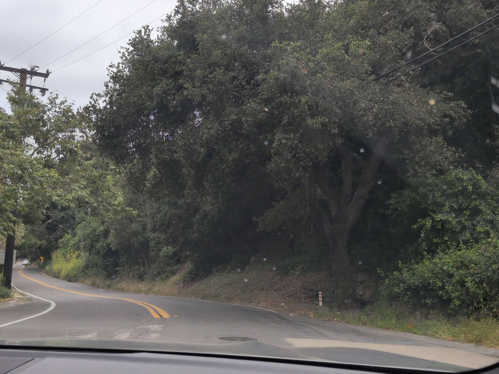 Street view of Mission Canyon