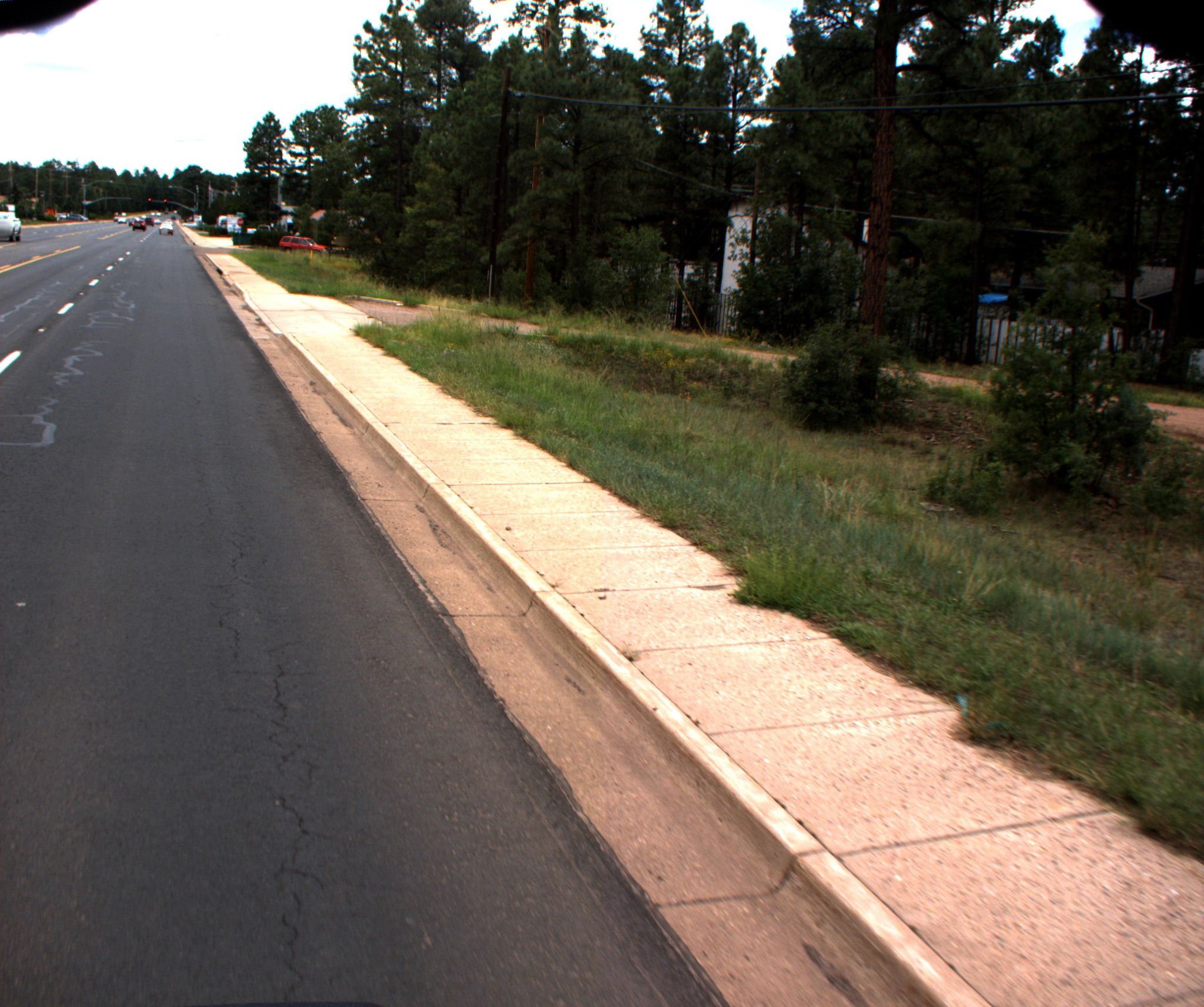 Street view of Pinetop-Lakeside