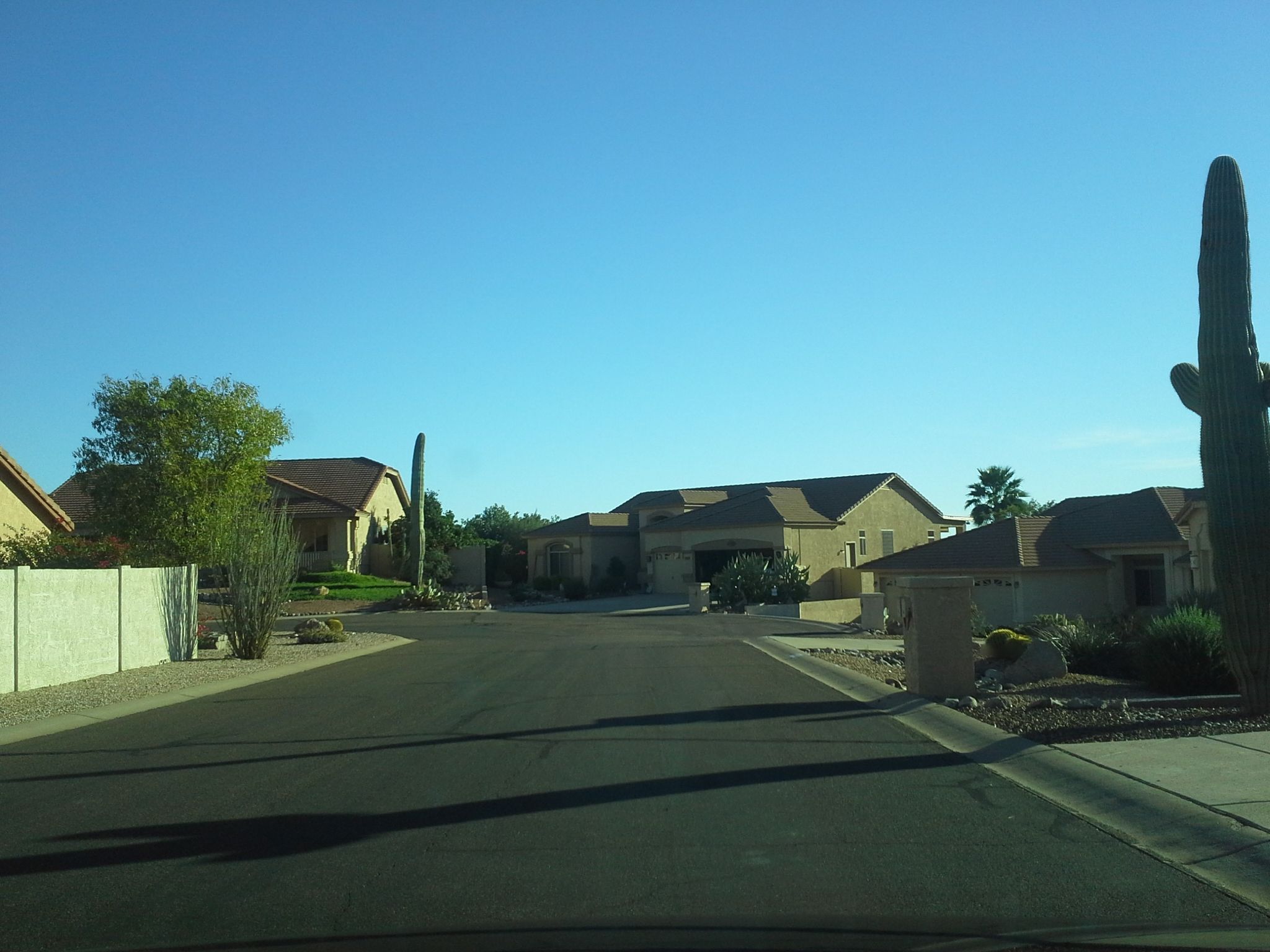 Street view of Gold Canyon