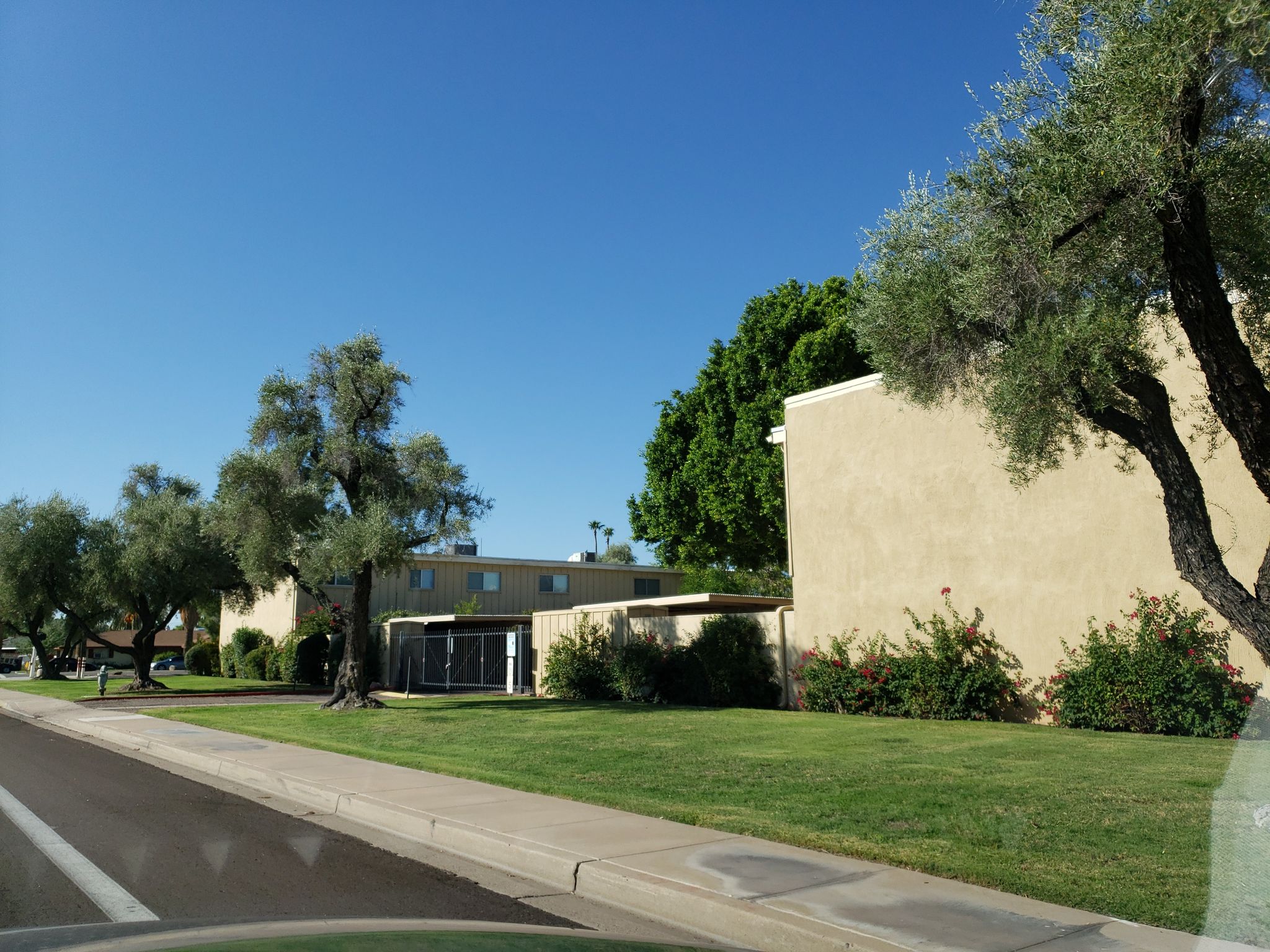 Street view of Scottsdale