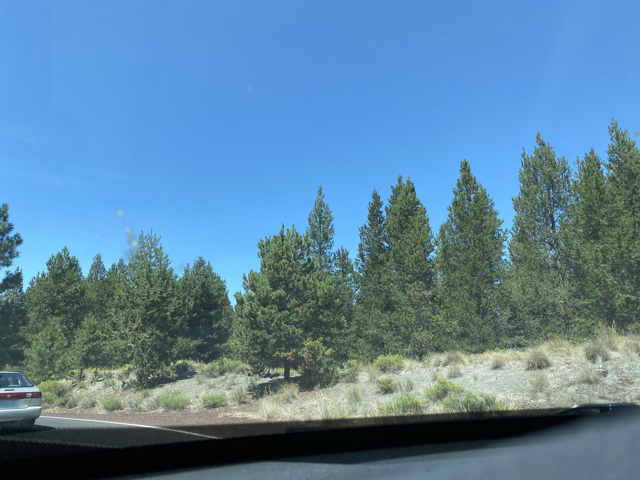 Street view of Sunriver